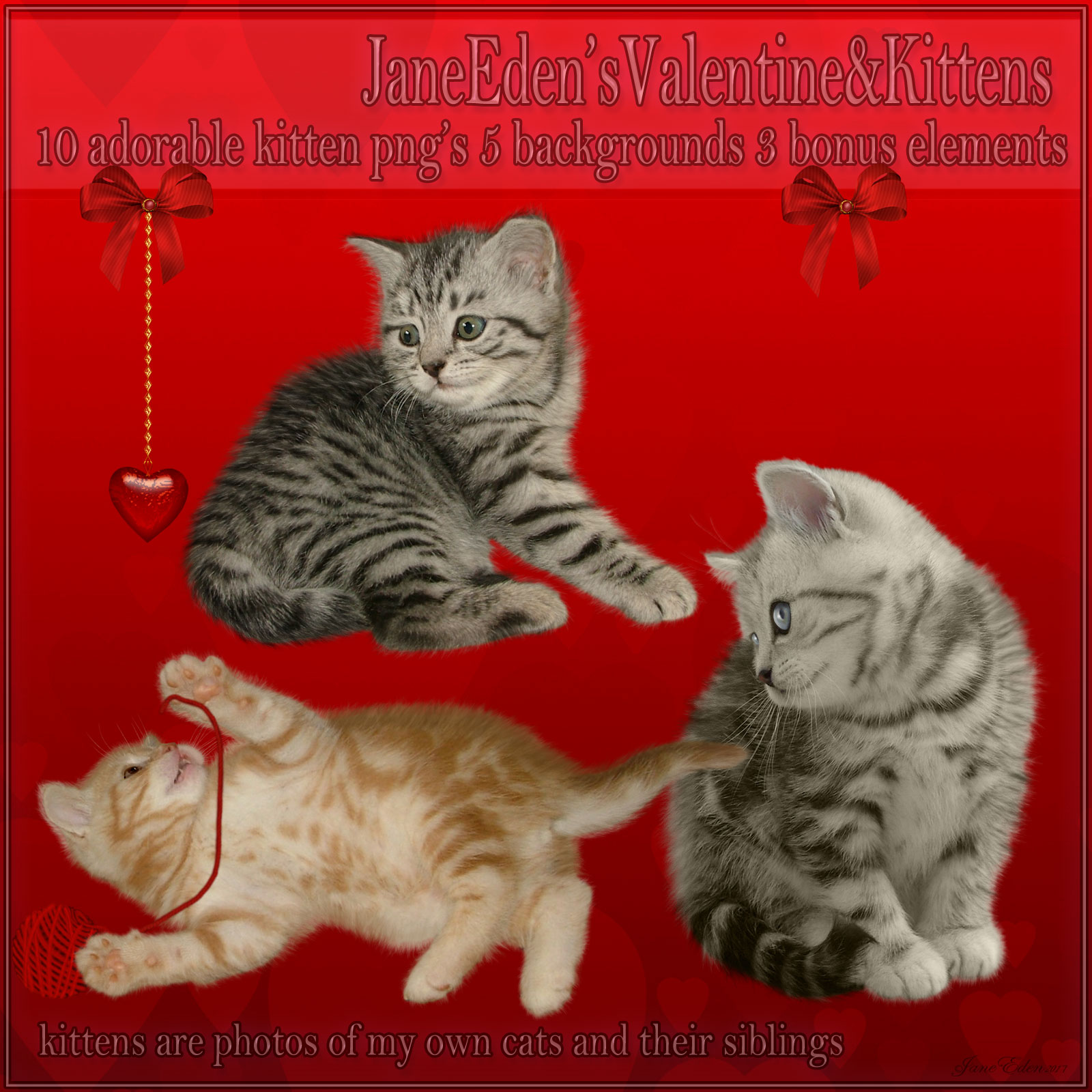 Jane Edens Valentines and Kittens by N/A