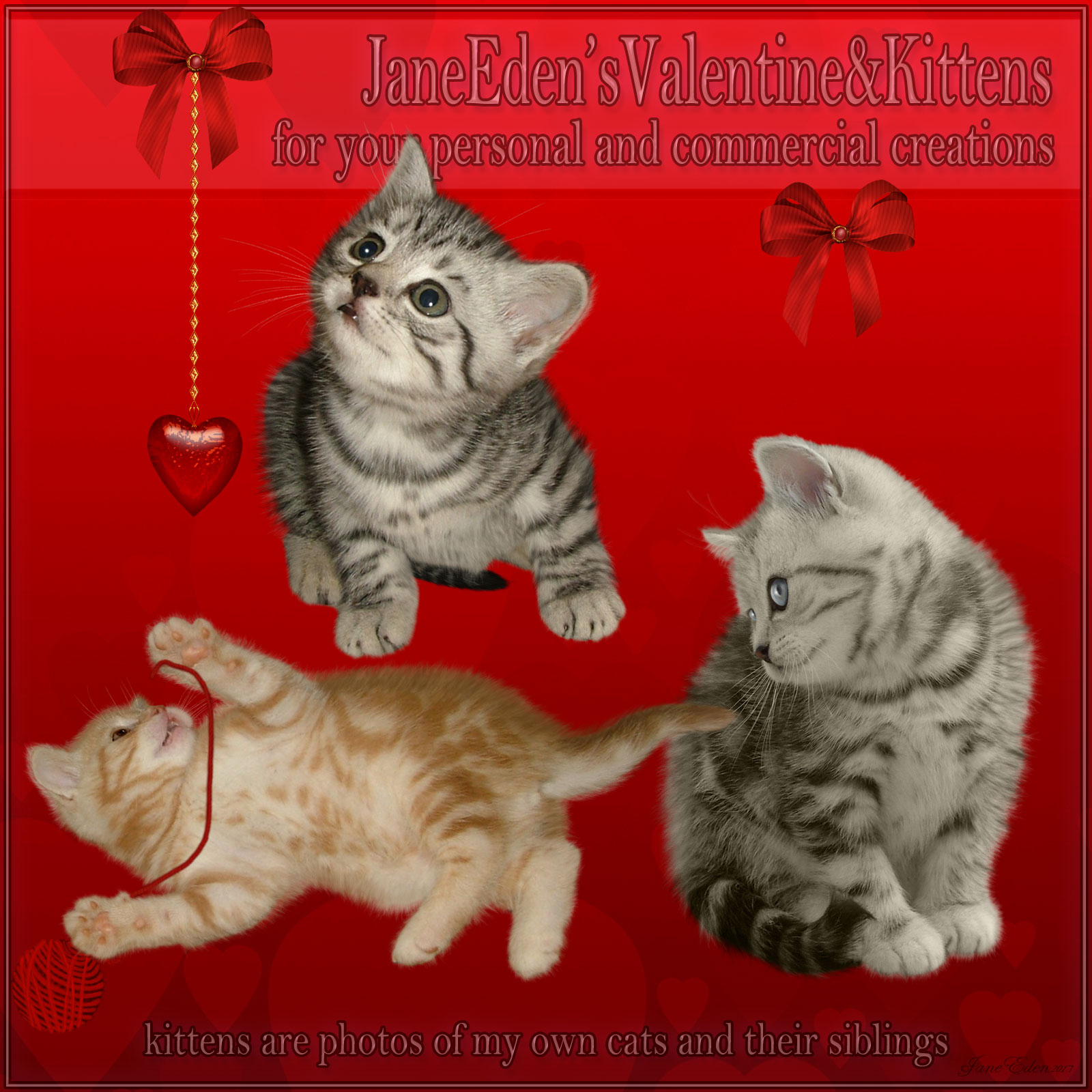 Jane Edens Valentines and Kittens by N/A