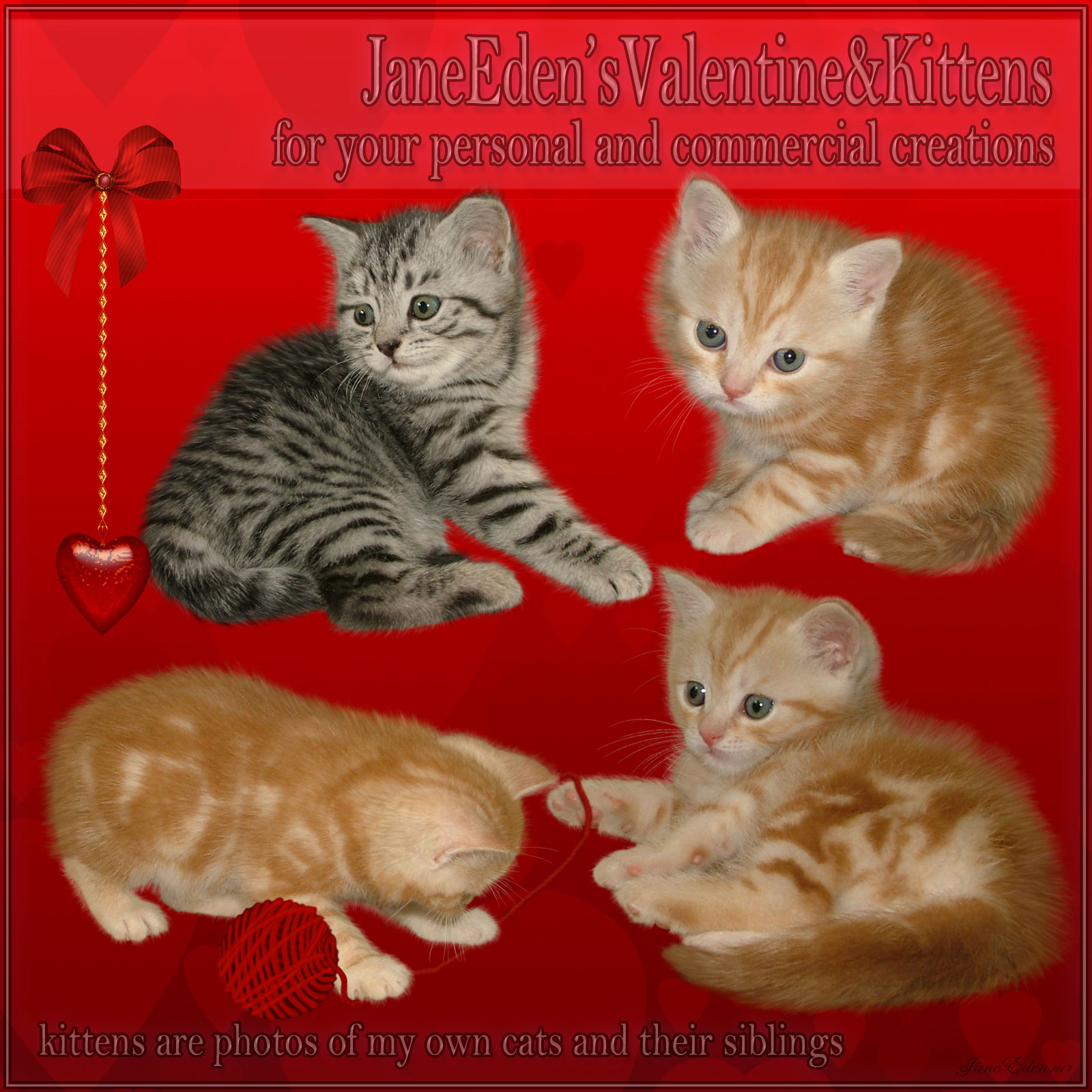 Jane Edens Valentines and Kittens by N/A