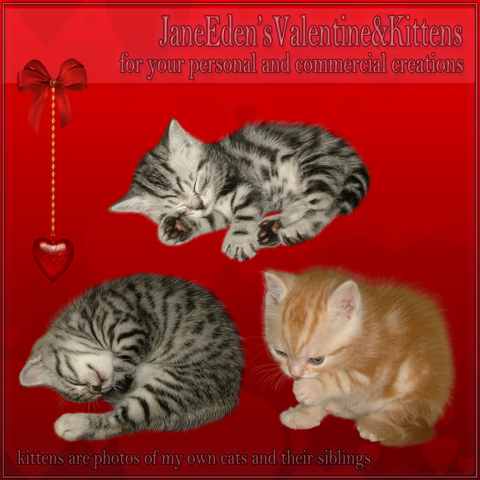 Jane Edens Valentines and Kittens by N/A