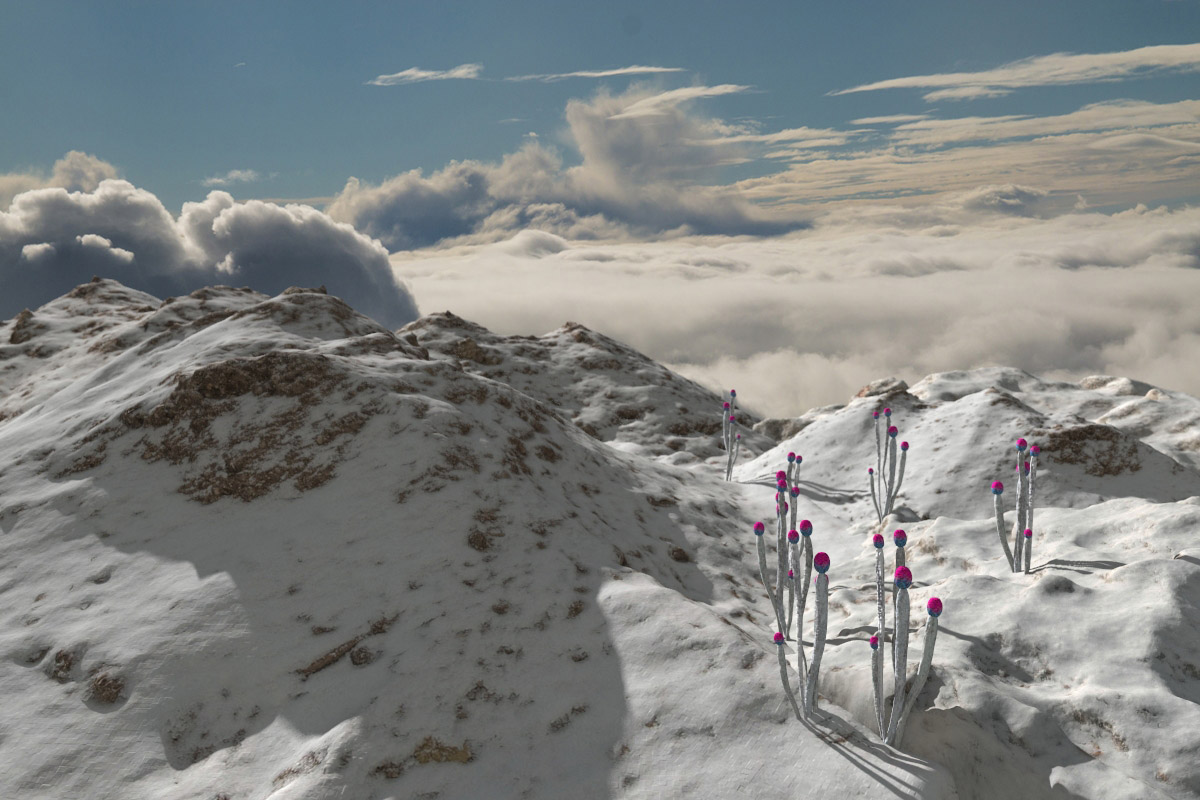 Flora Imaginarium: Ljus by N/A