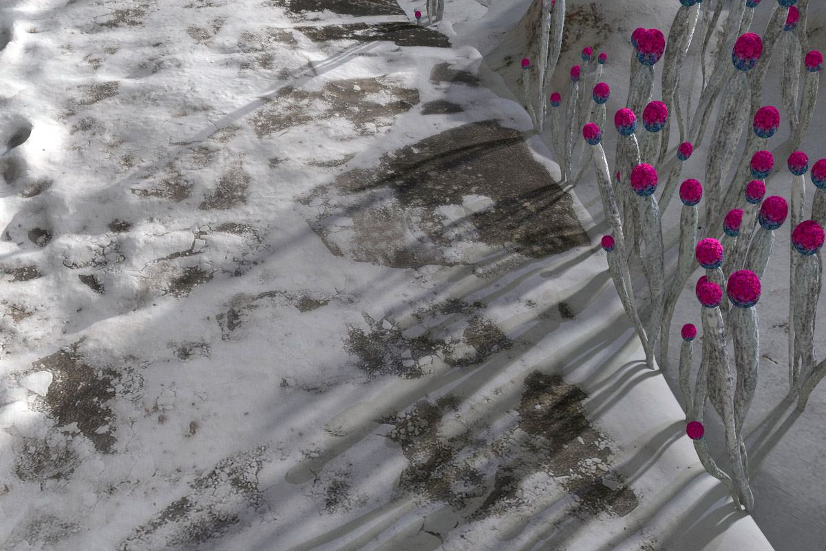Flora Imaginarium: Ljus by N/A