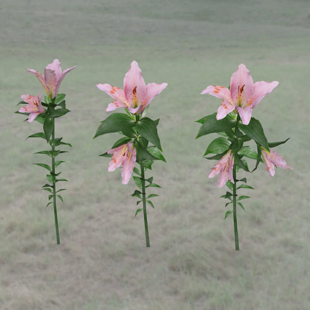 Tropical Pack: Plants for Poser by N/A