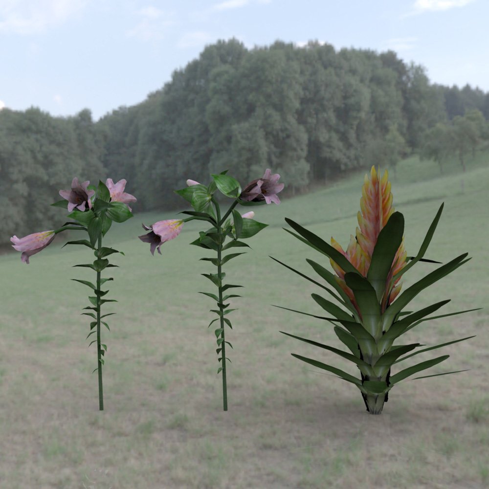 Tropical Pack: Plants for Poser by N/A