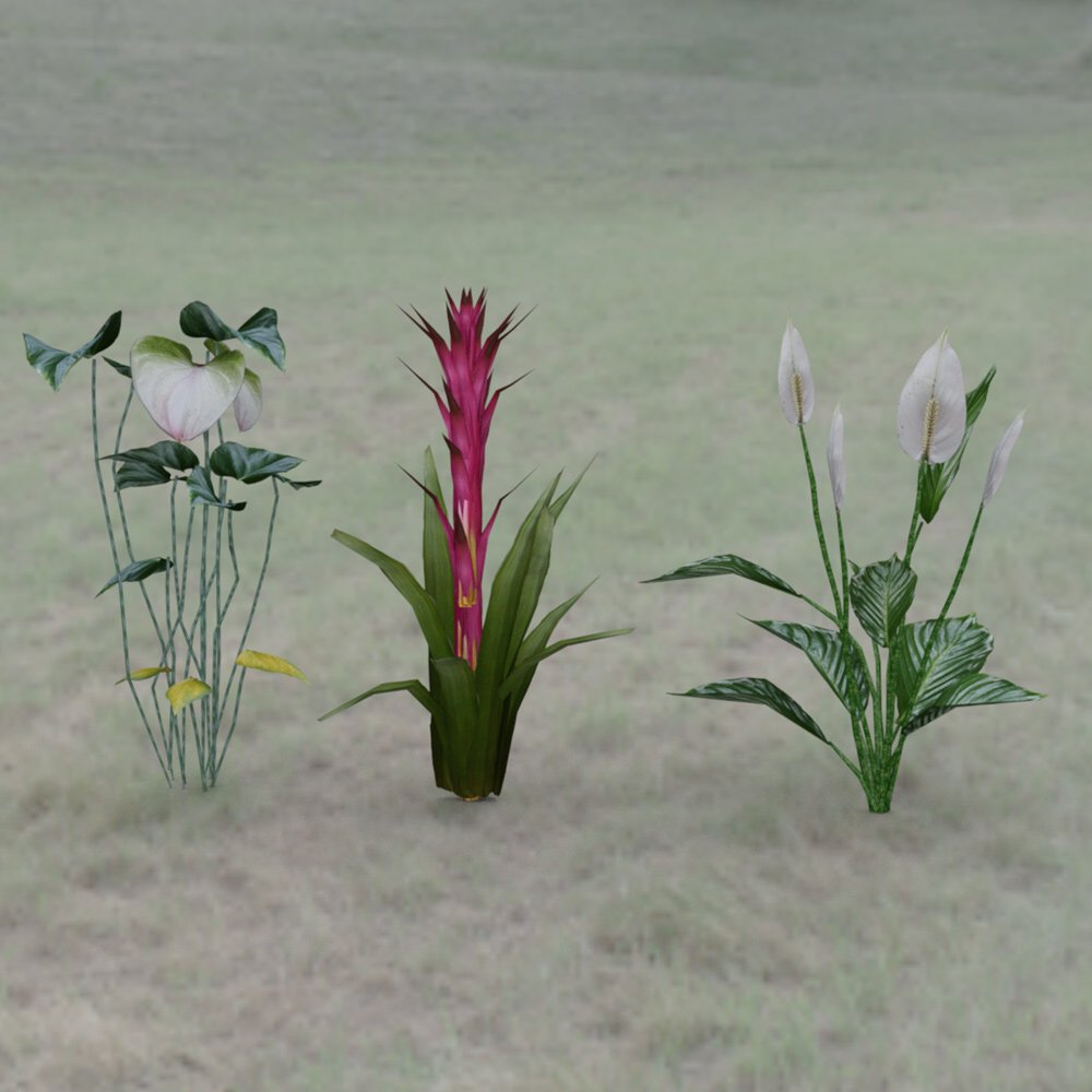 Tropical Pack: Plants for Poser by N/A
