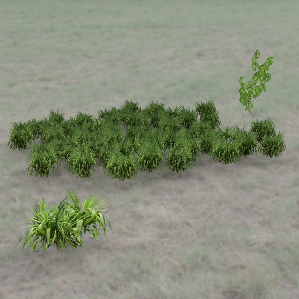 Tropical Pack: Plants for Poser by N/A