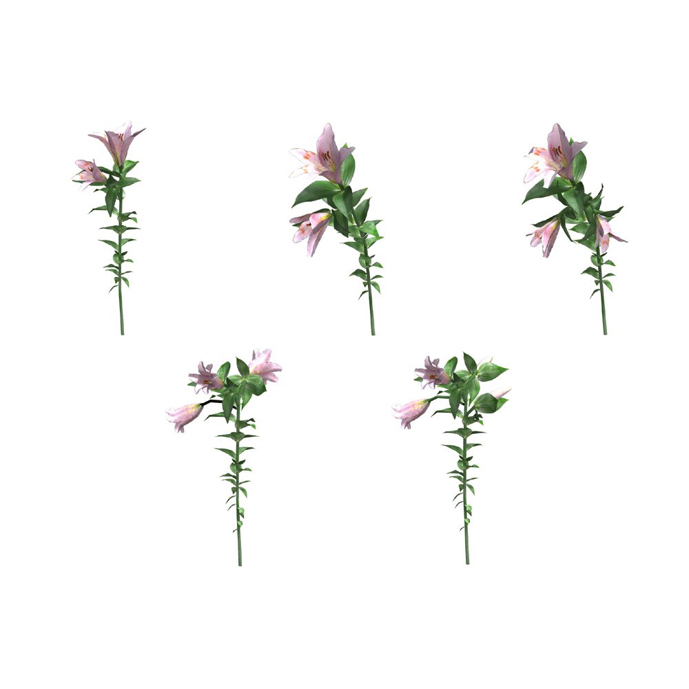 Tropical Pack: Plants for Poser by N/A