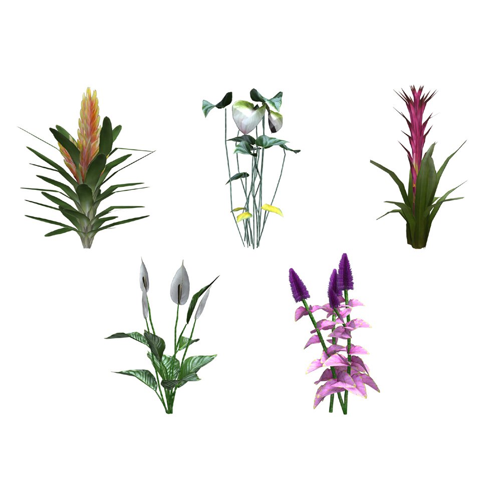 Tropical Pack: Plants for Poser by N/A