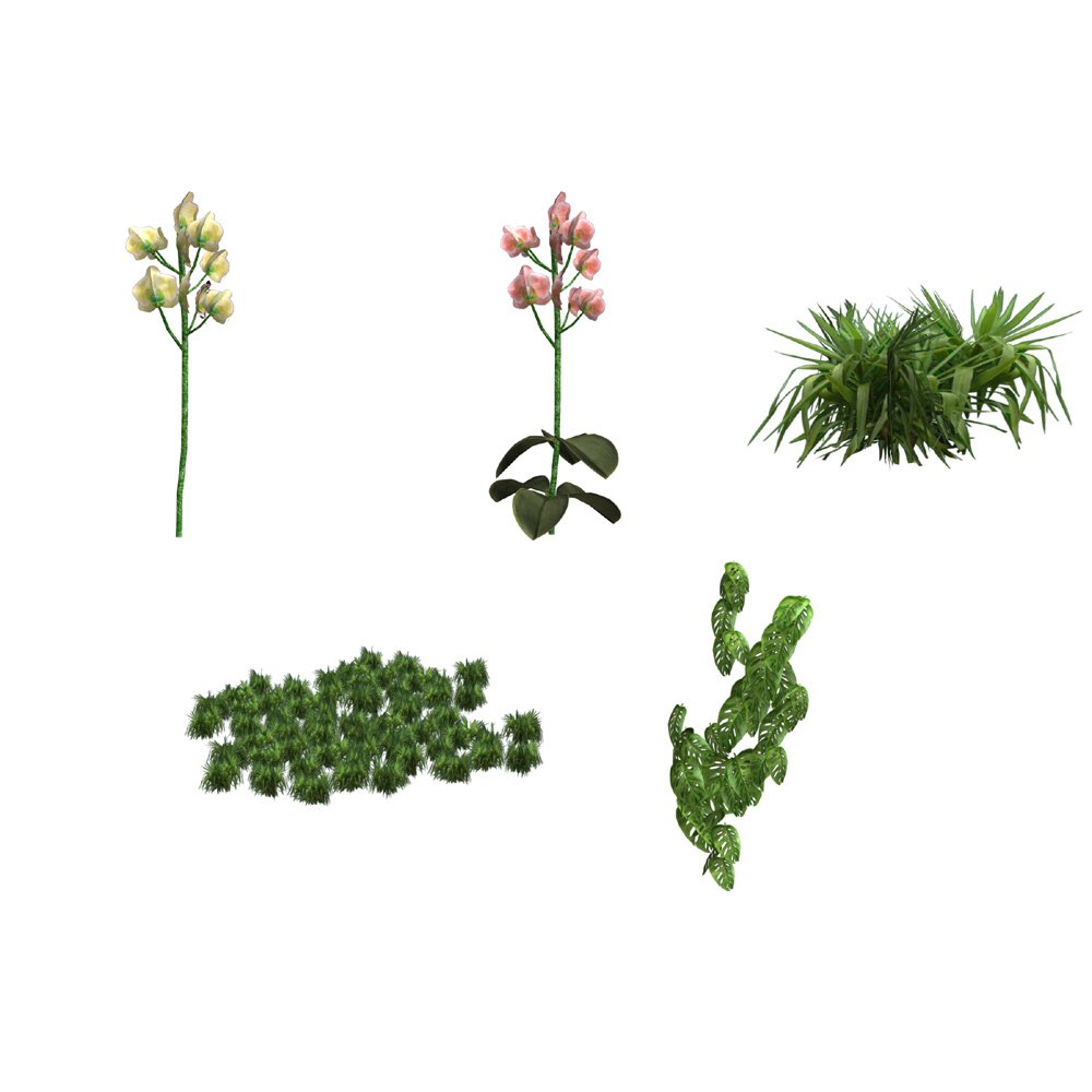 Tropical Pack: Plants for Poser by N/A