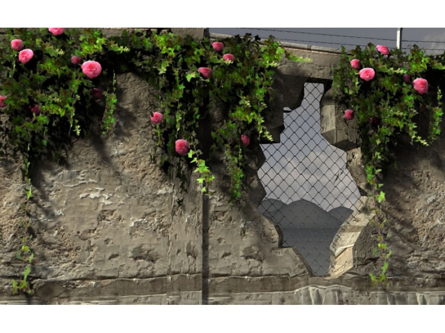 Climbing Plants - Extended License by N/A