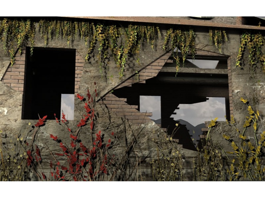 Climbing Plants - Extended License by N/A