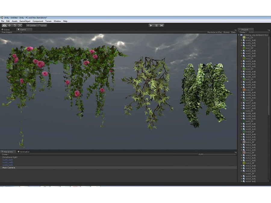 Climbing Plants - Extended License by N/A