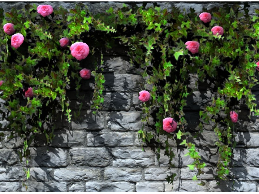 Climbing Plants - Extended License by N/A