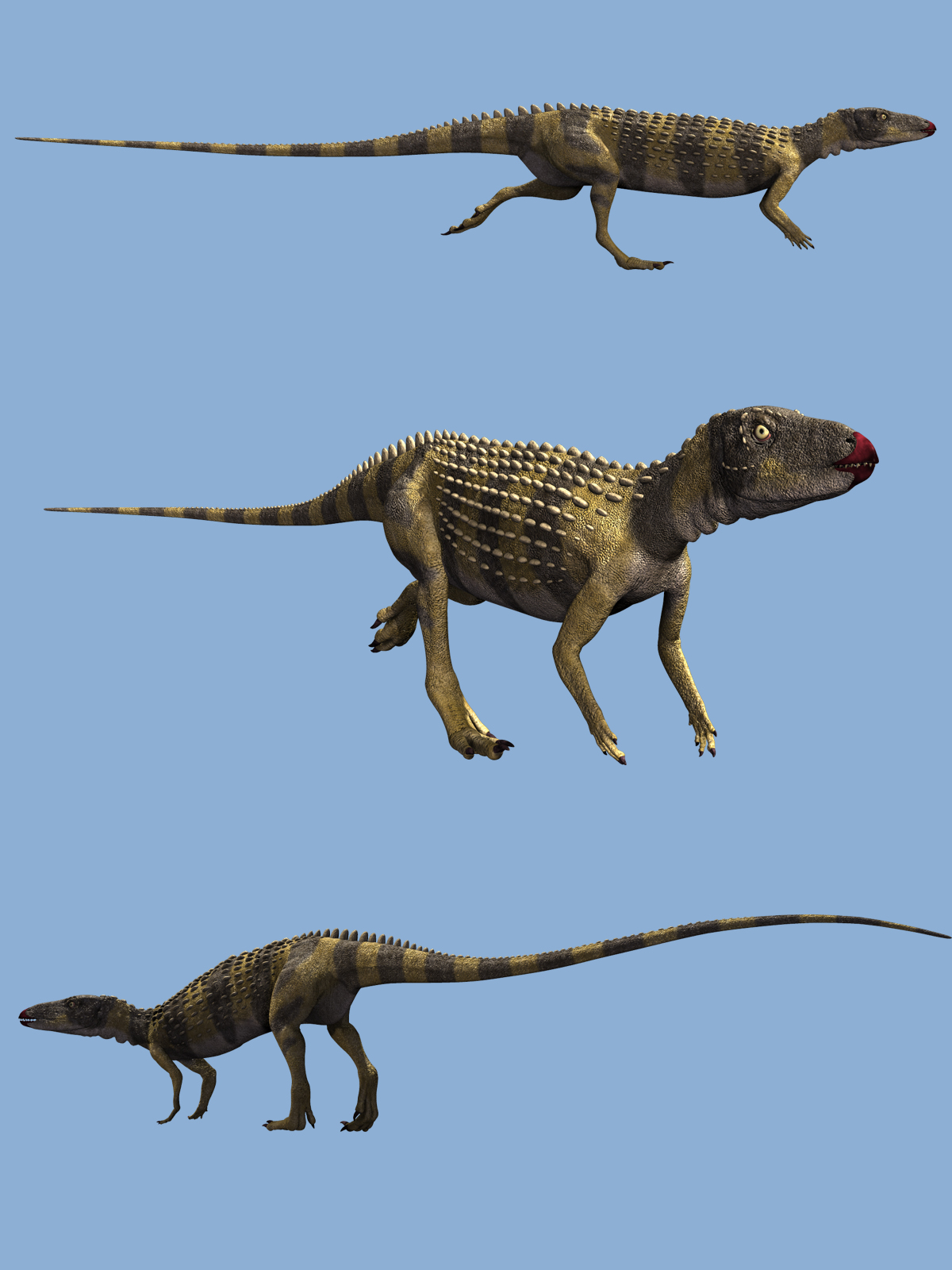 ScutellosaurusDR by N/A