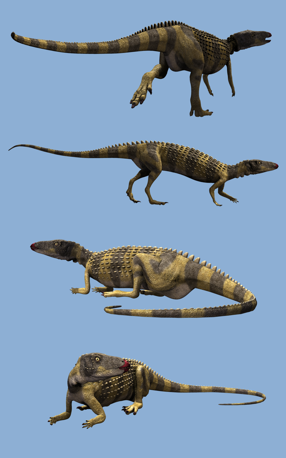 ScutellosaurusDR by N/A