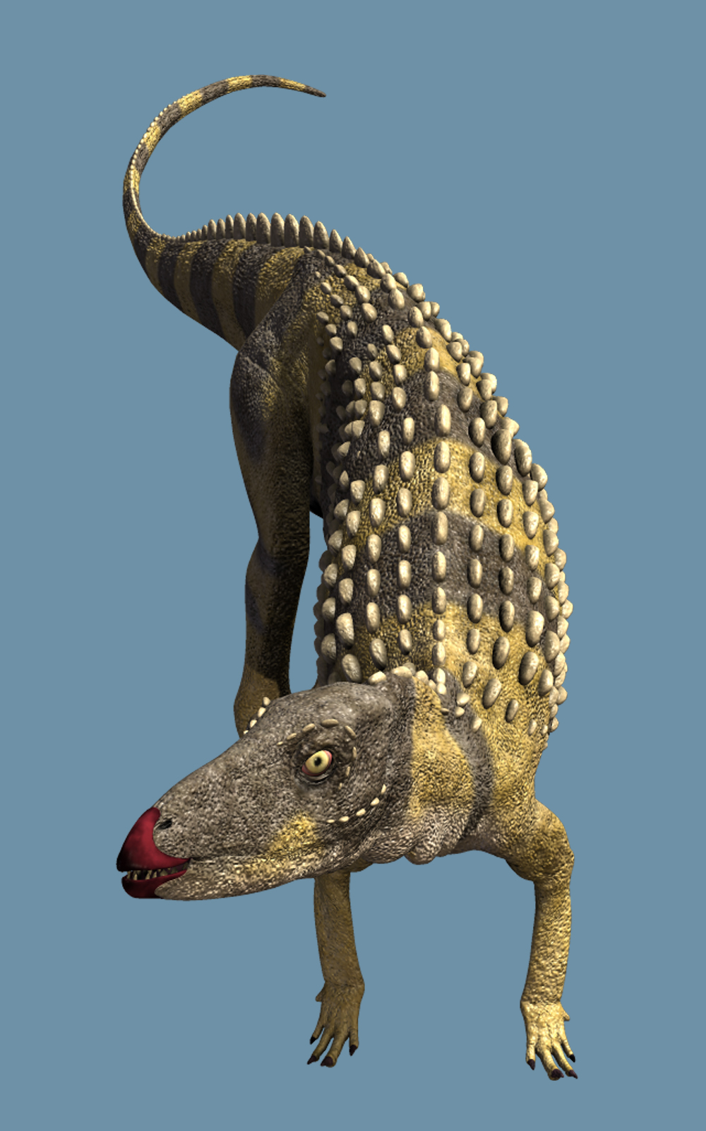 ScutellosaurusDR by N/A