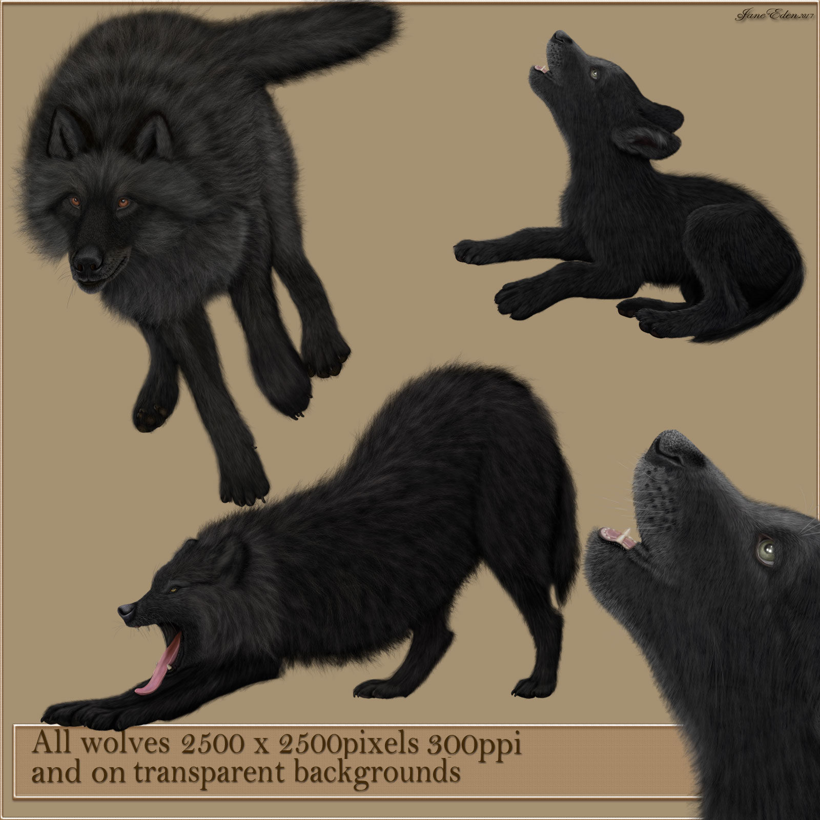 JaneEden's Black Wolves by N/A