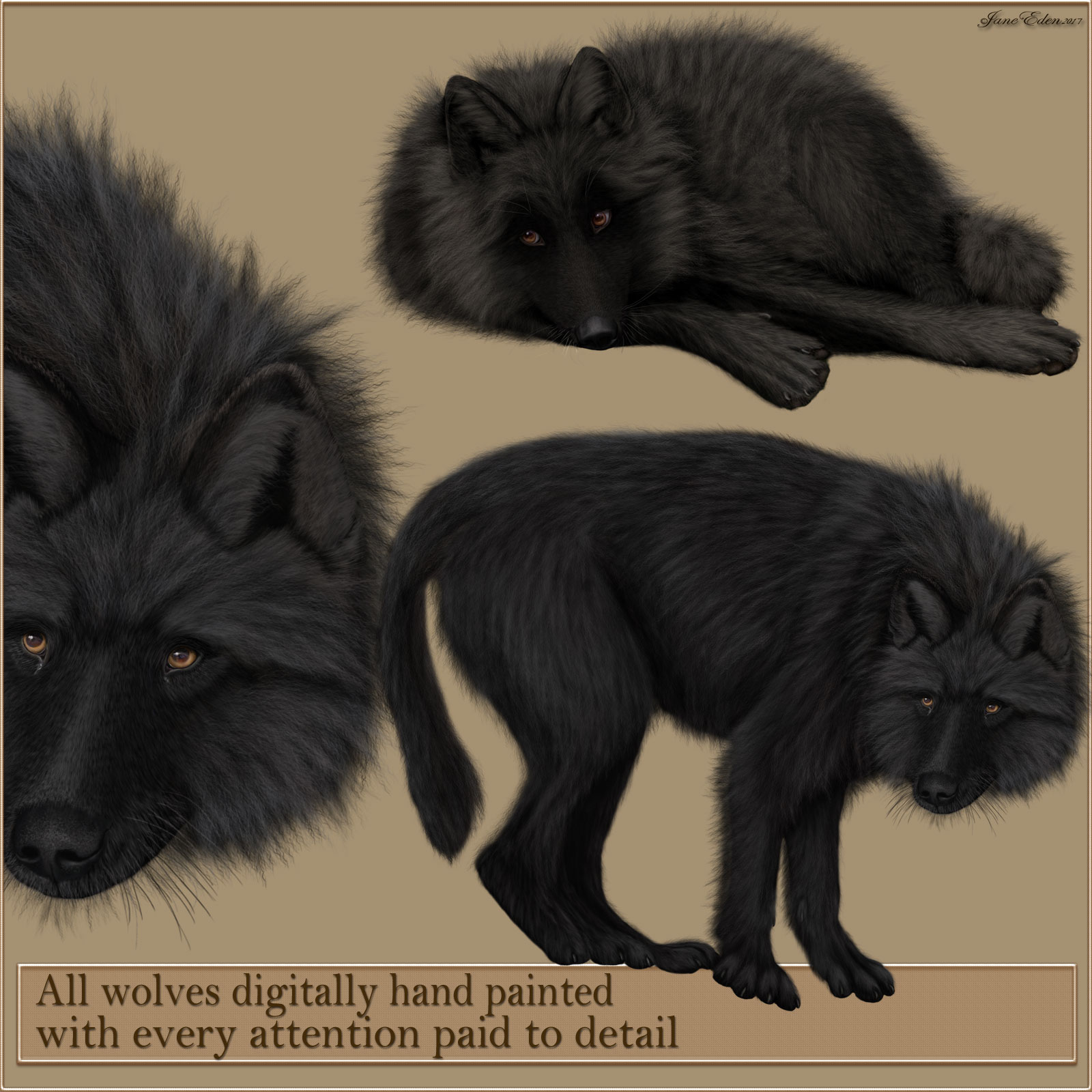JaneEden's Black Wolves by N/A