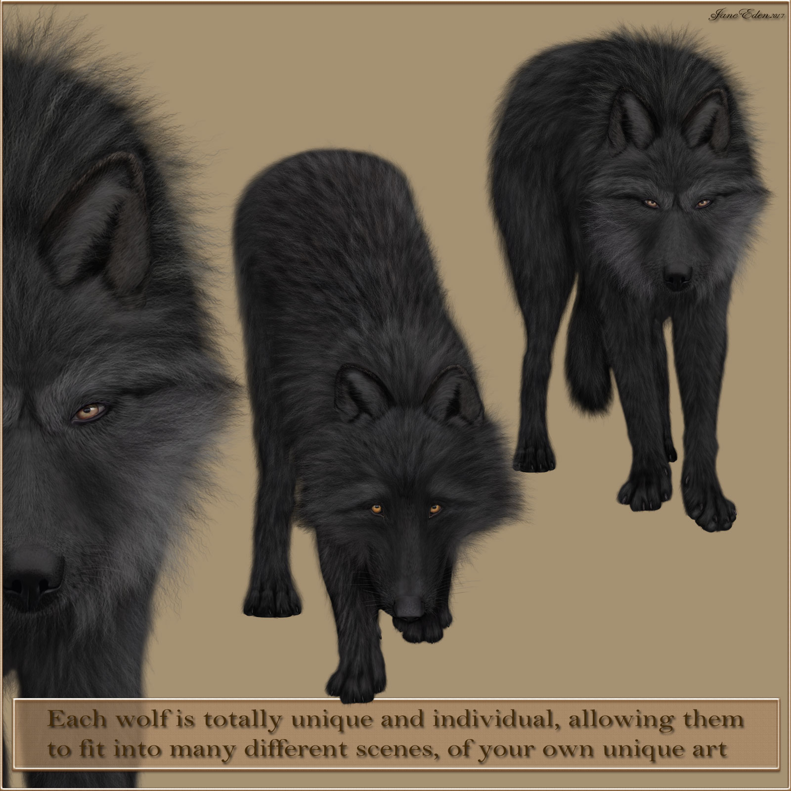 JaneEden's Black Wolves by N/A