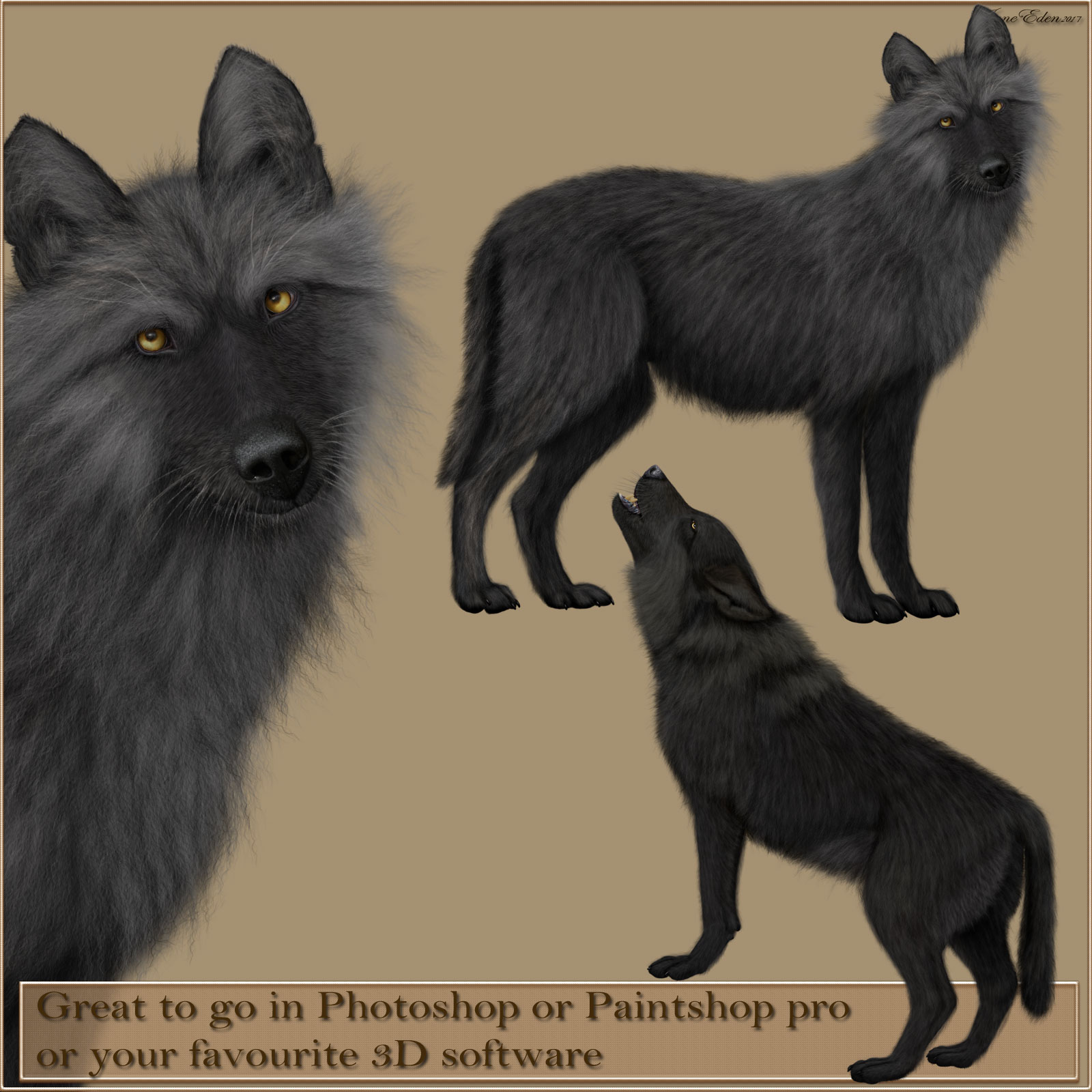 JaneEden's Black Wolves by N/A