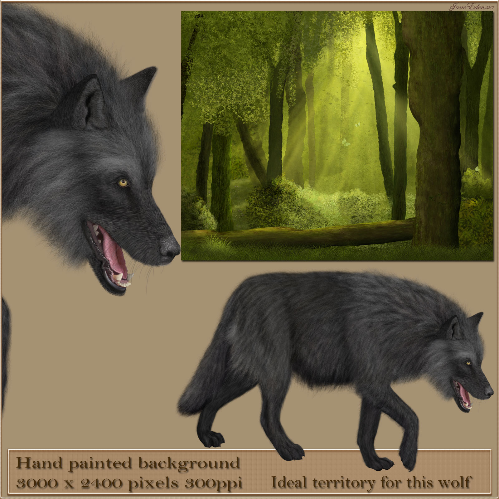 JaneEden's Black Wolves by N/A