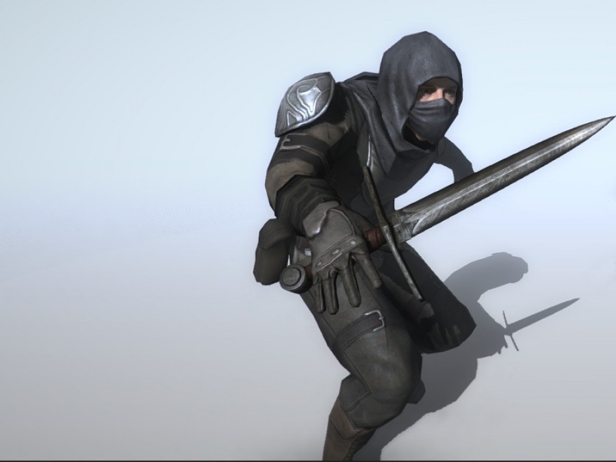 Thief - Extended License by N/A