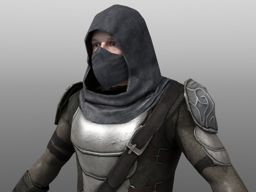 Thief - Extended License by N/A