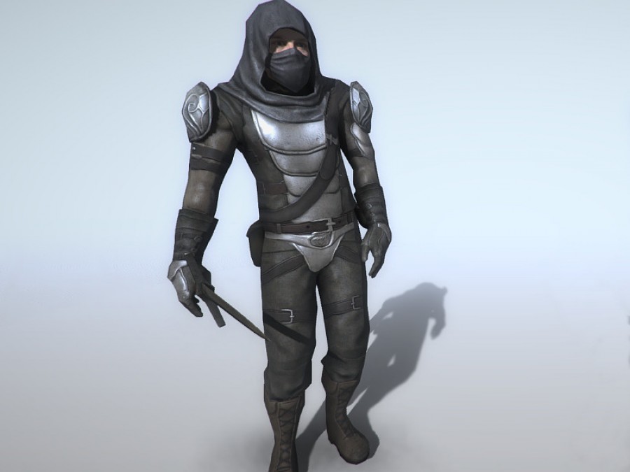 Thief - Extended License by N/A