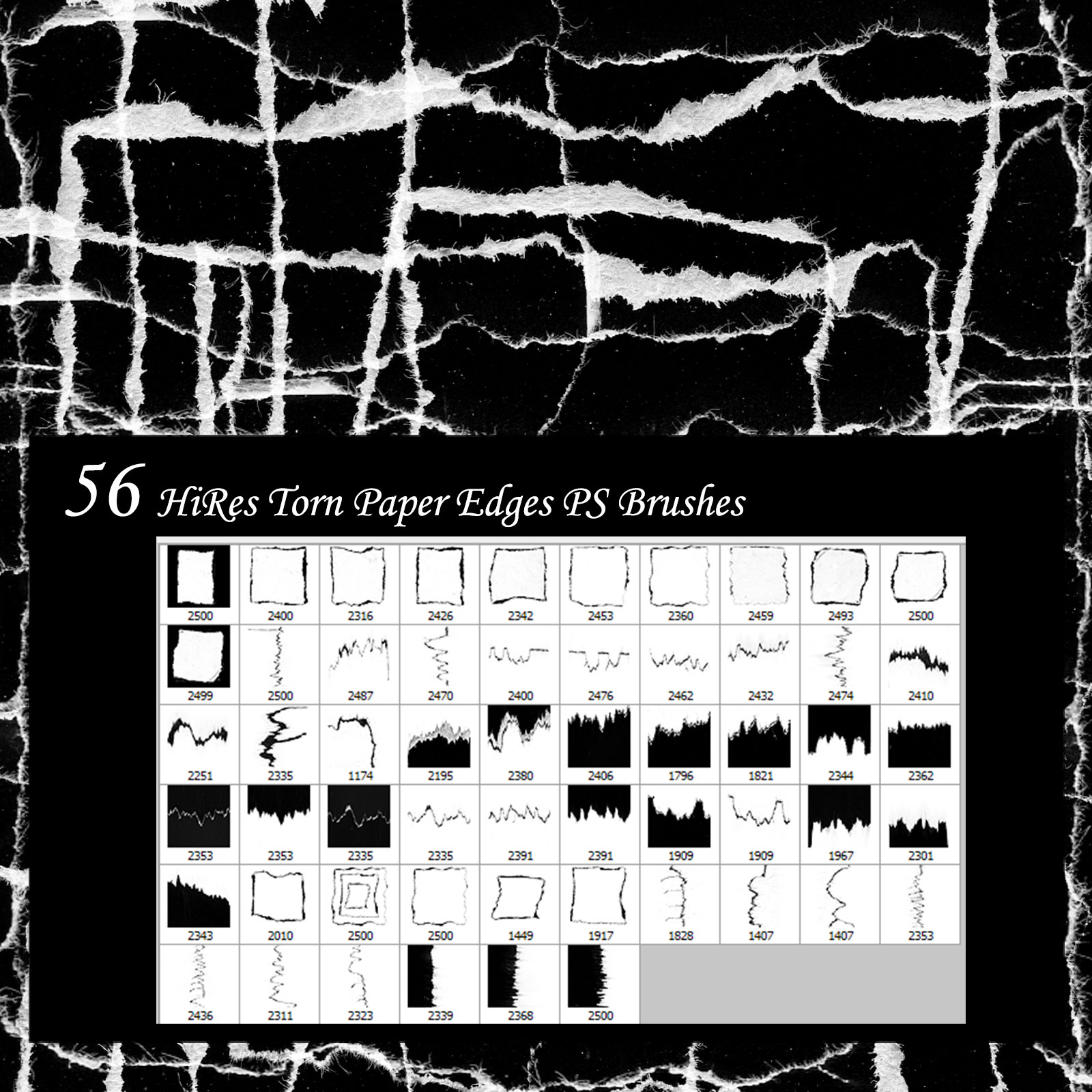 Torn Paper Edges PS Brushes by N/A