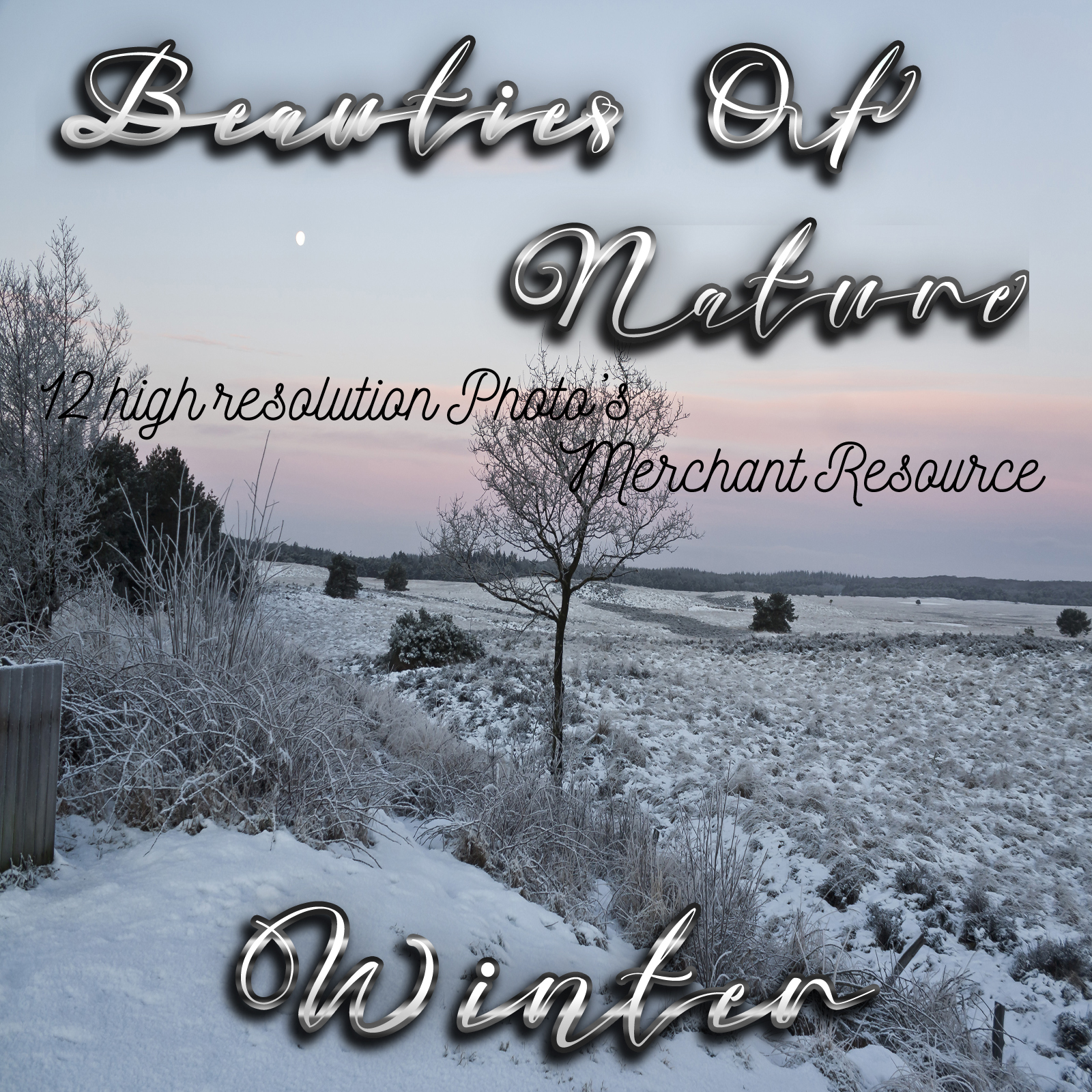 Beauties Of Nature - Winter by N/A