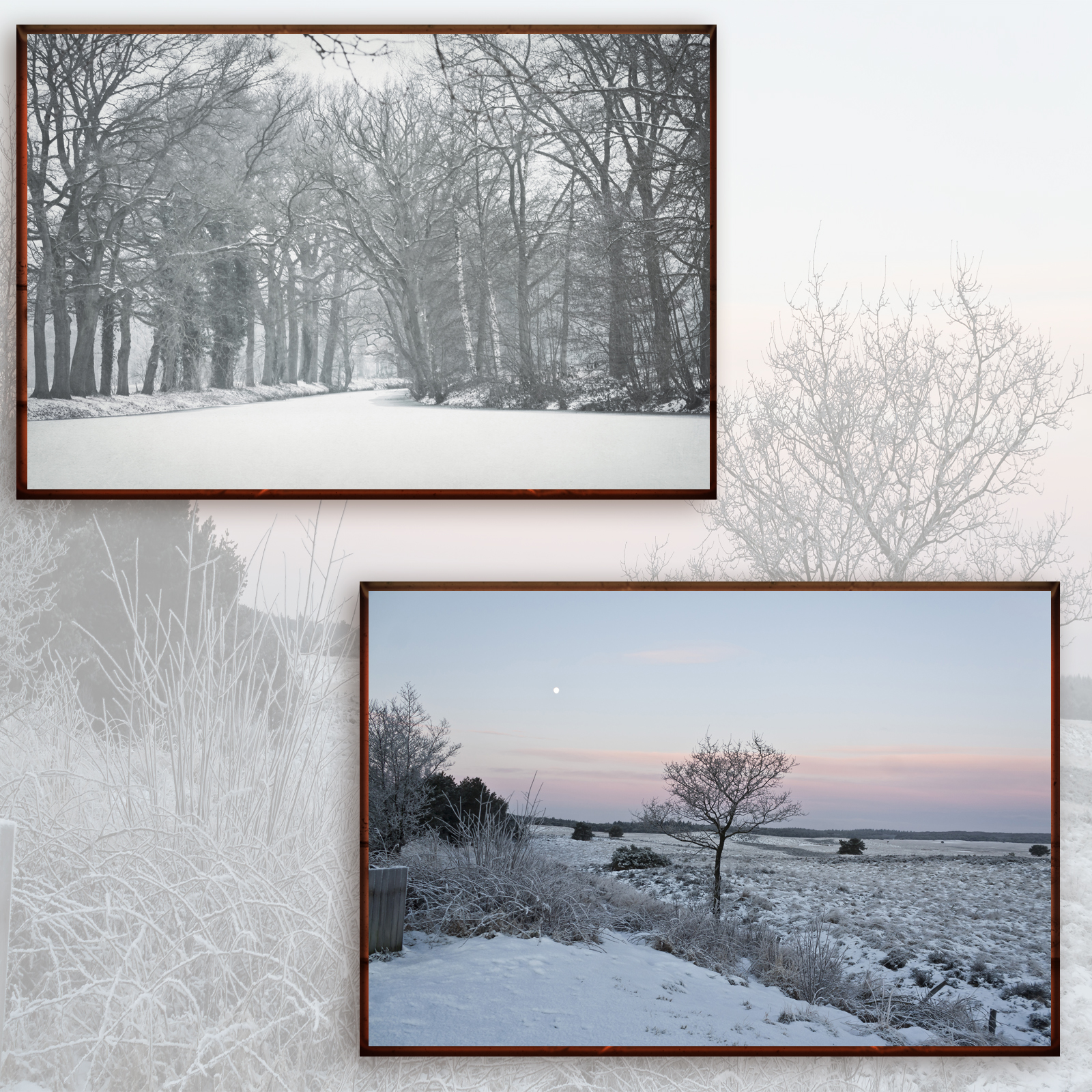 Beauties Of Nature - Winter by N/A
