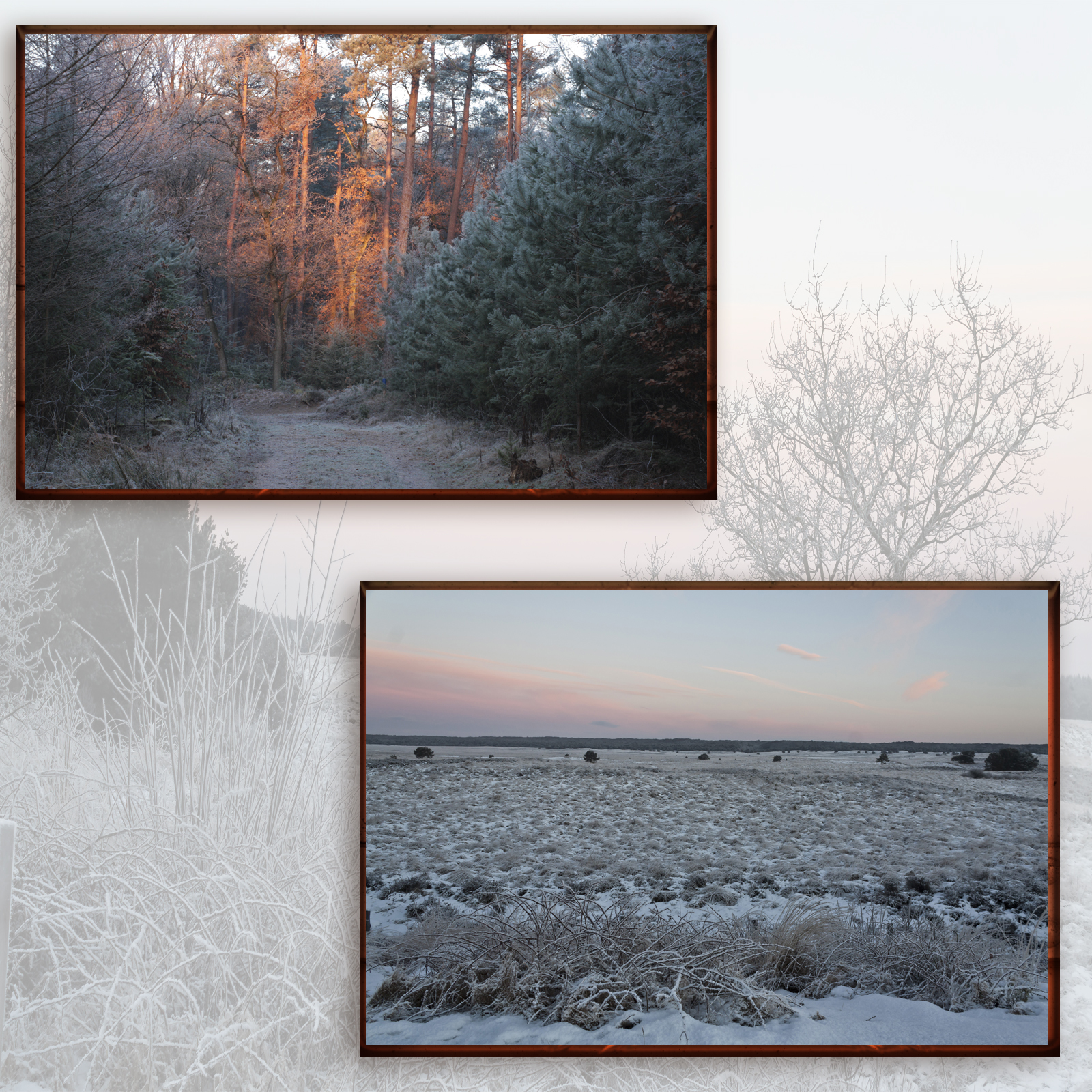 Beauties Of Nature - Winter by N/A