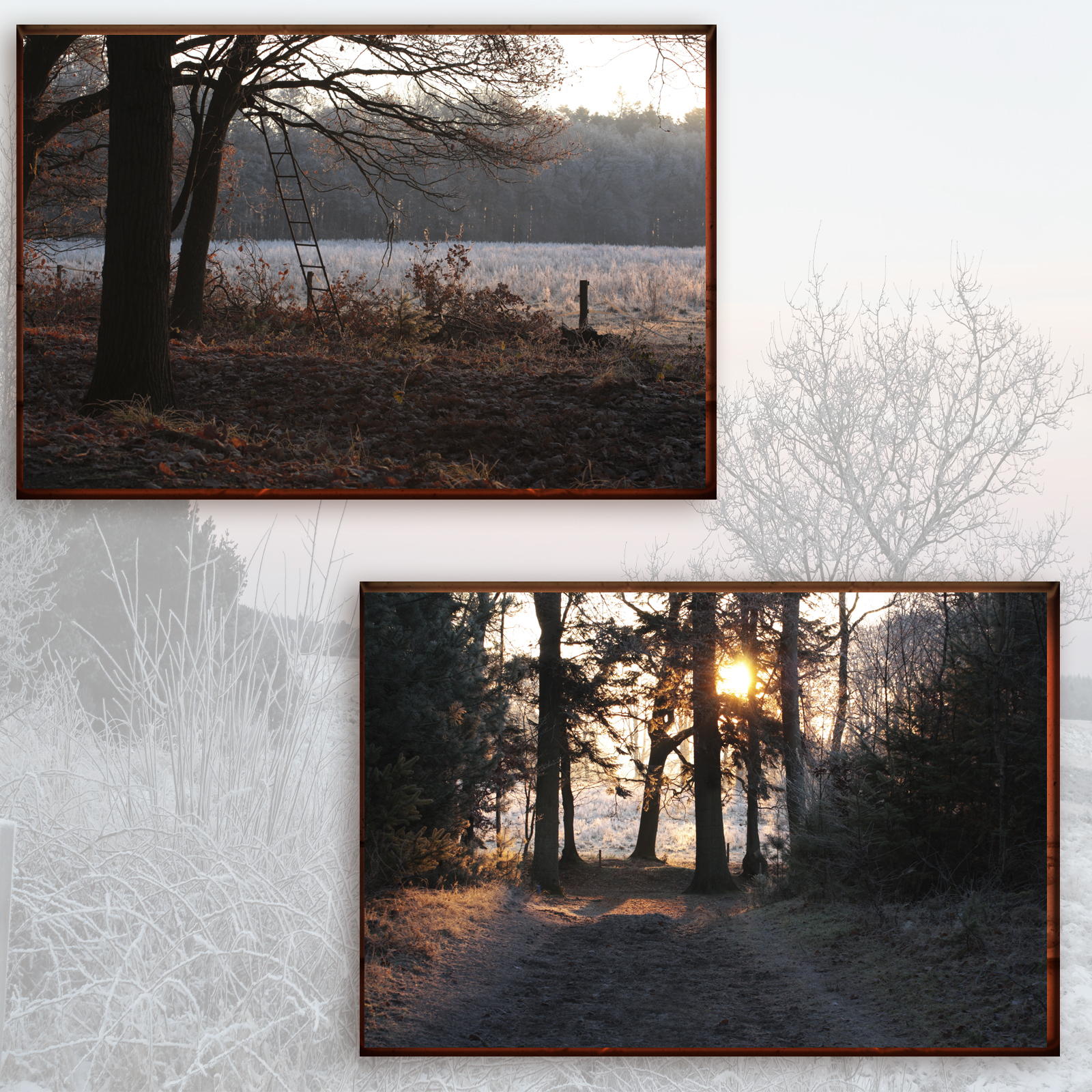 Beauties Of Nature - Winter by N/A
