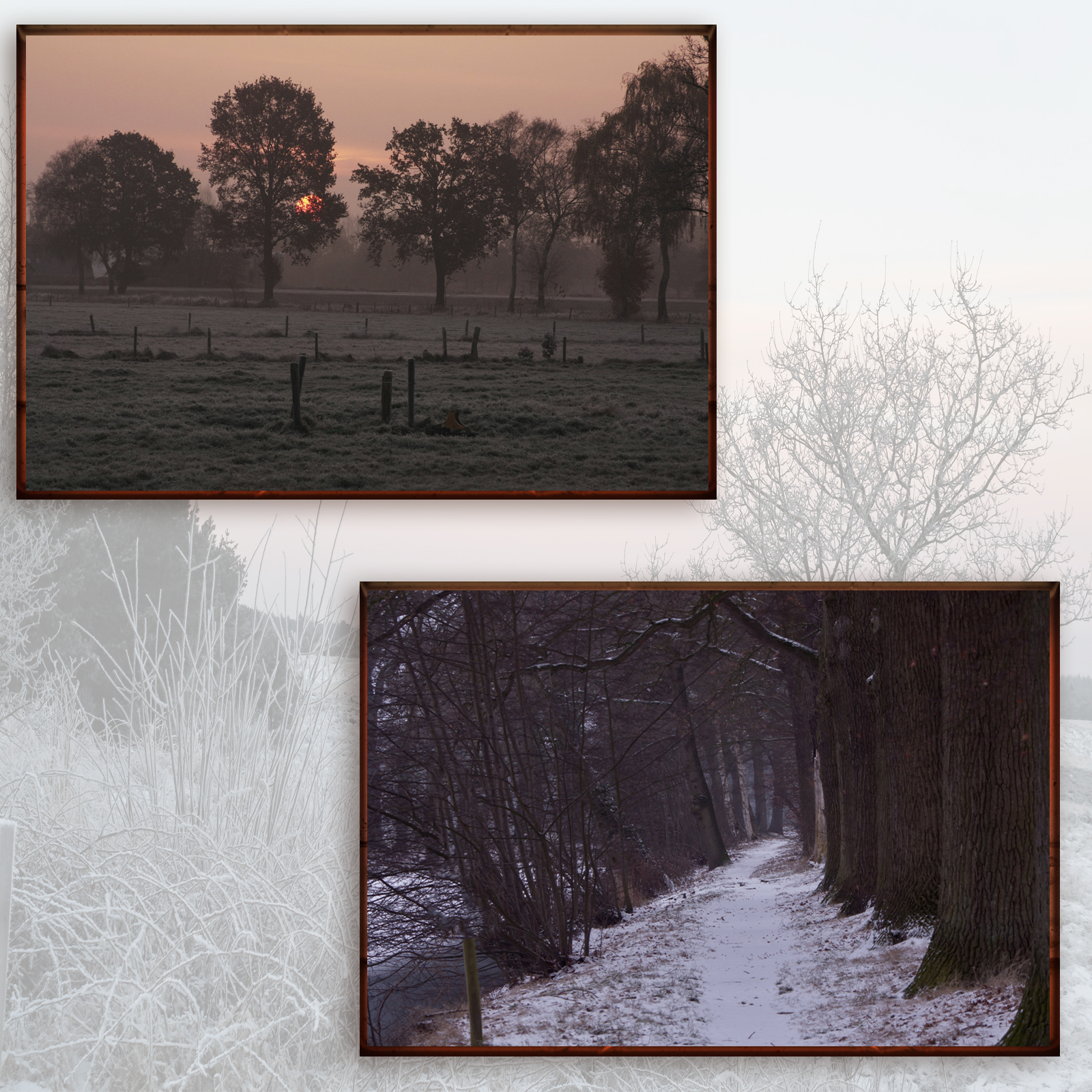 Beauties Of Nature - Winter by N/A