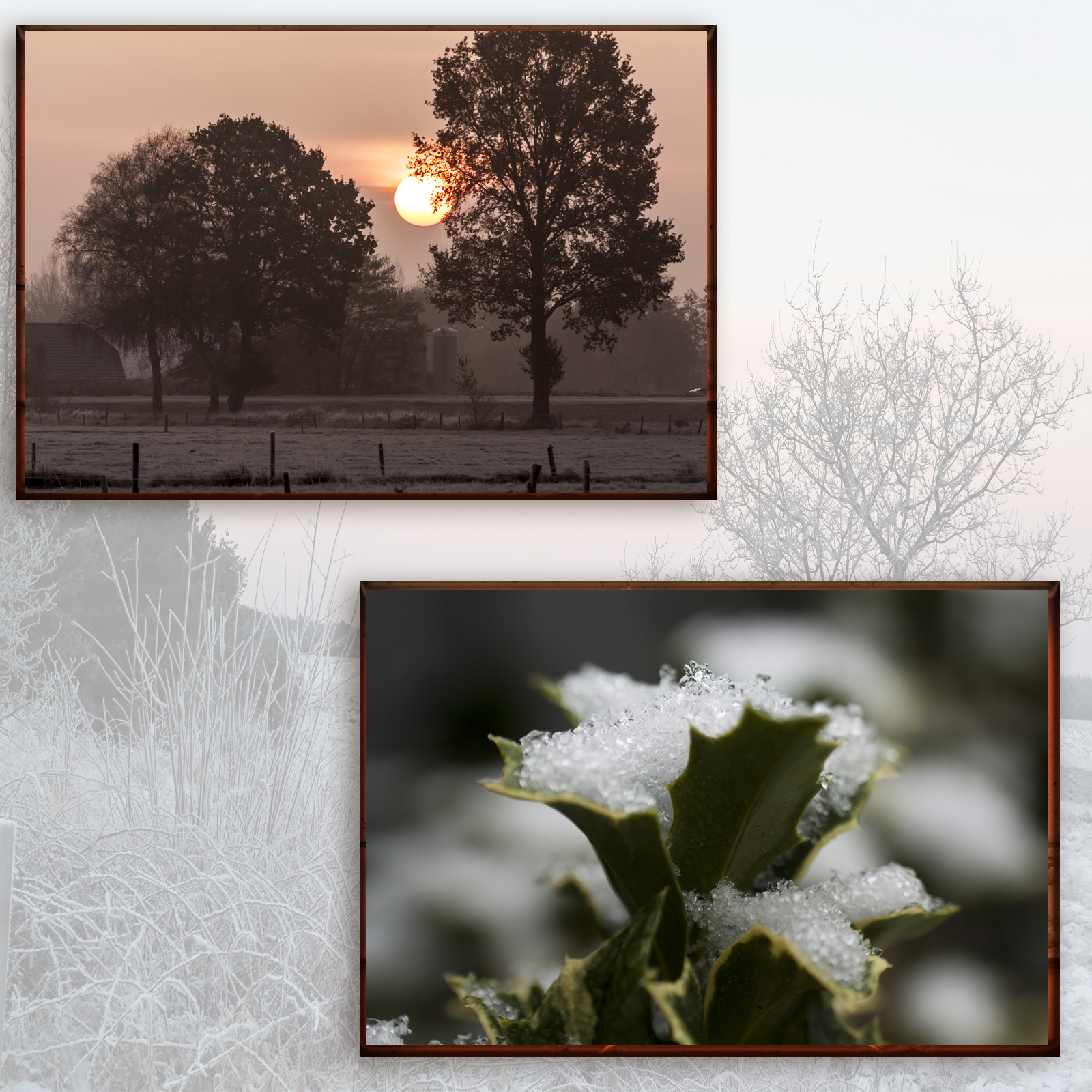 Beauties Of Nature - Winter by N/A