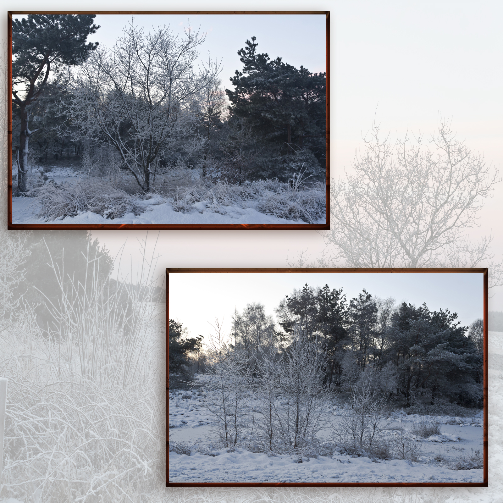 Beauties Of Nature - Winter by N/A