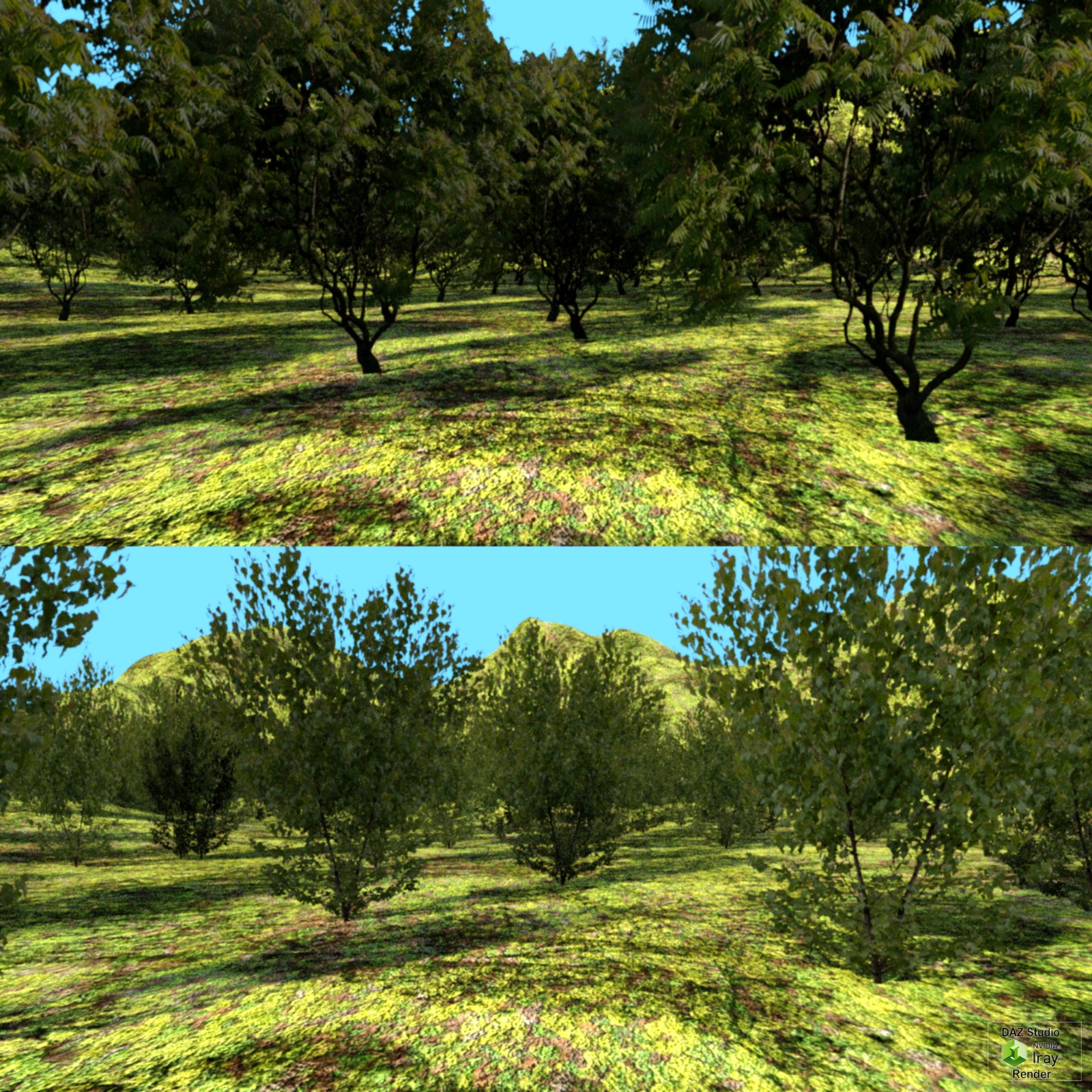 EcoMaster Terrain Interactive by N/A