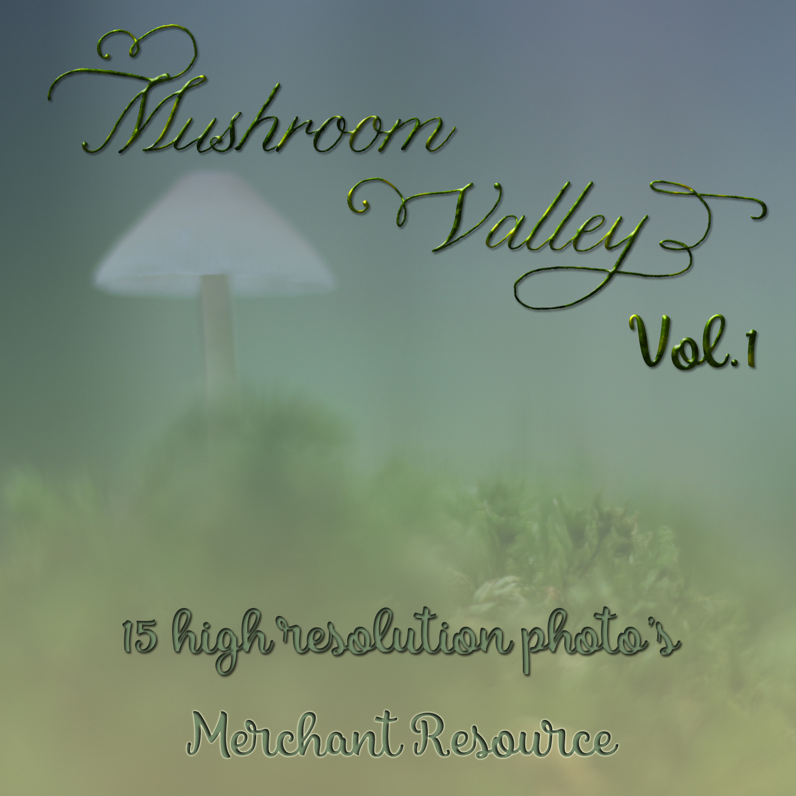 Mushroom Valley Vol.1 by N/A