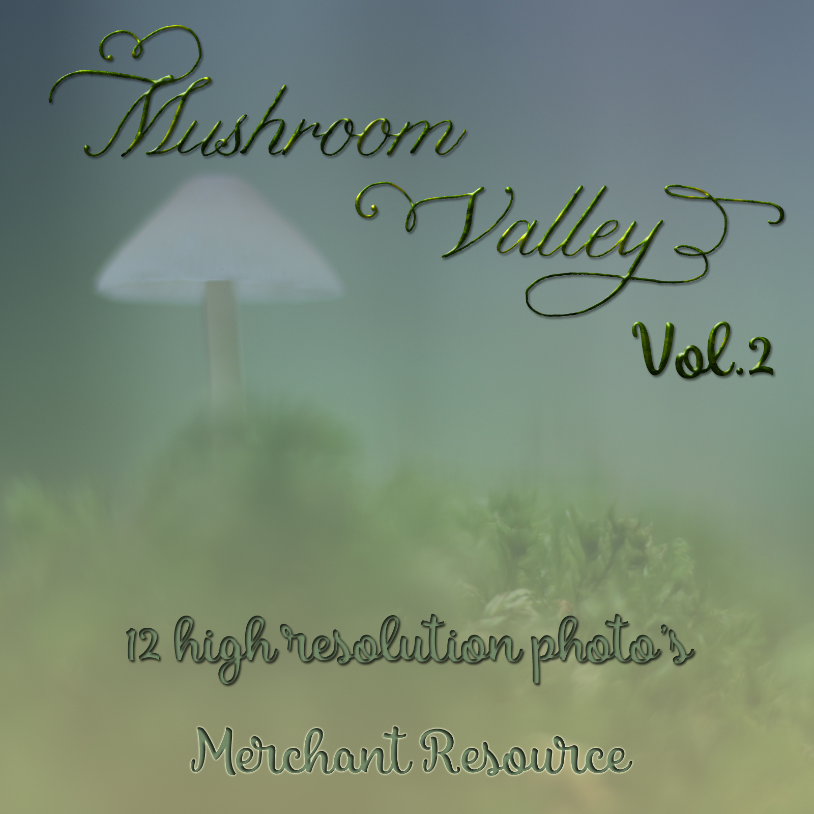 Mushroom Valley Vol.2 by N/A