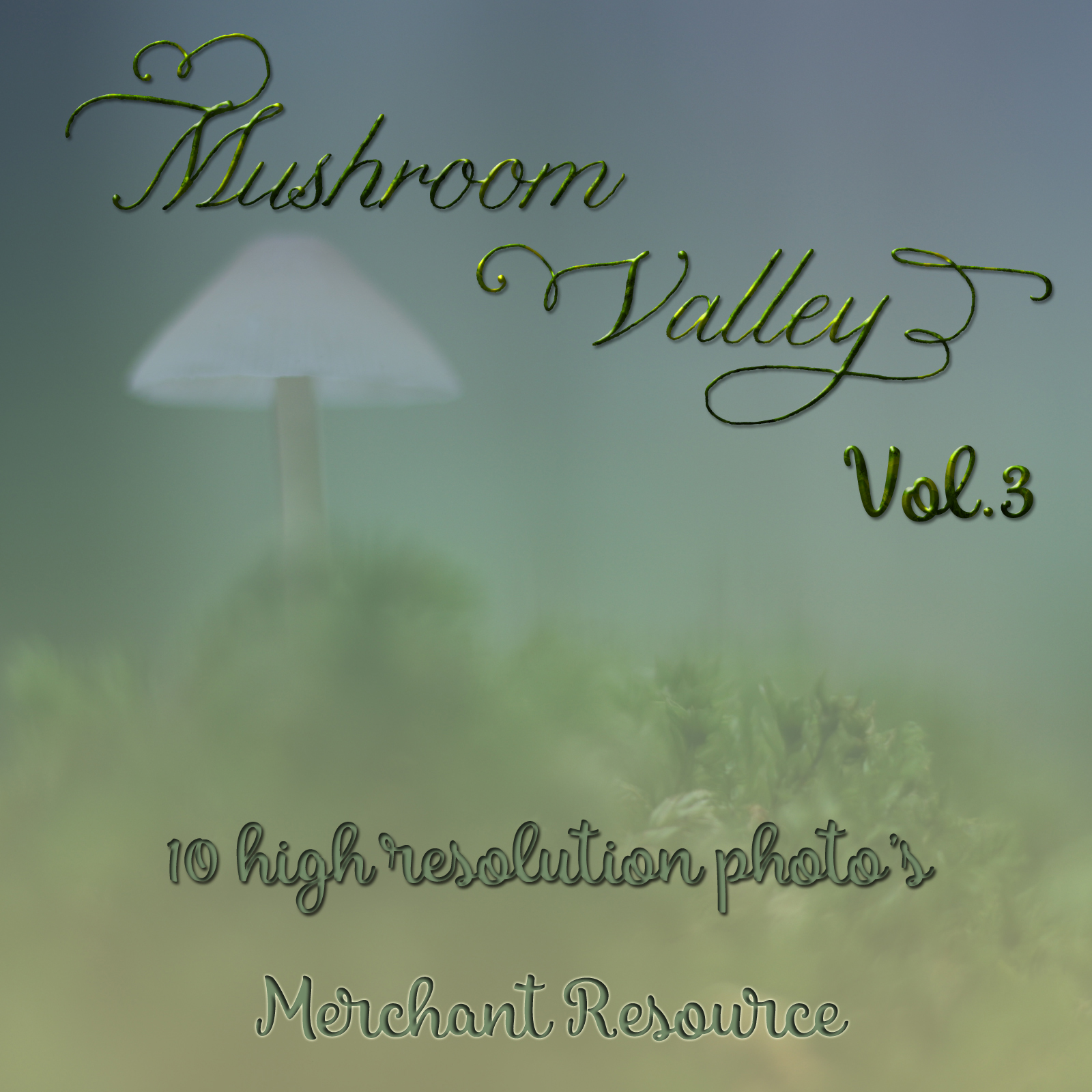 Mushroom Valley Vol.3 by N/A