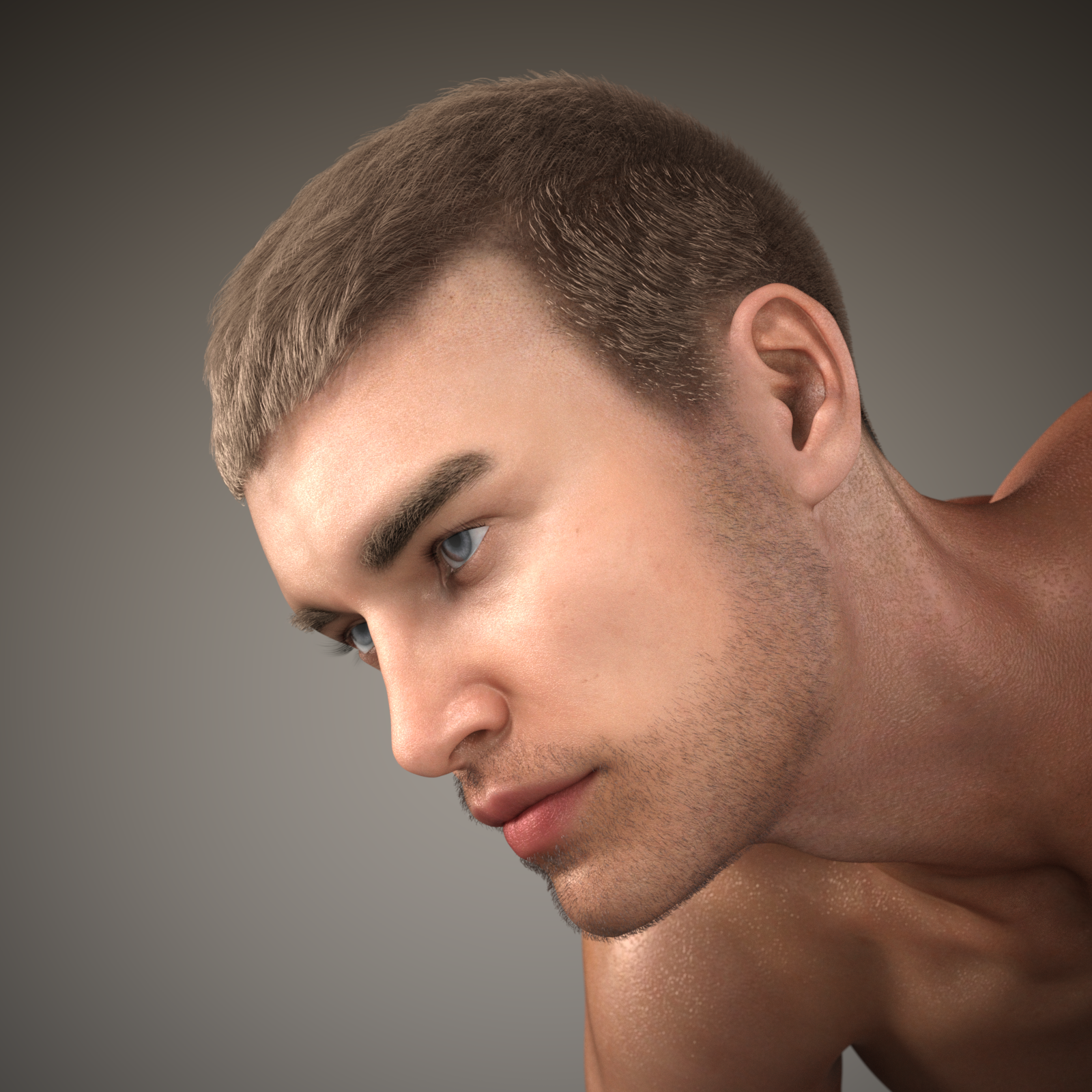 Short Cropped Hair for Genesis 3 Male and Females by N/A