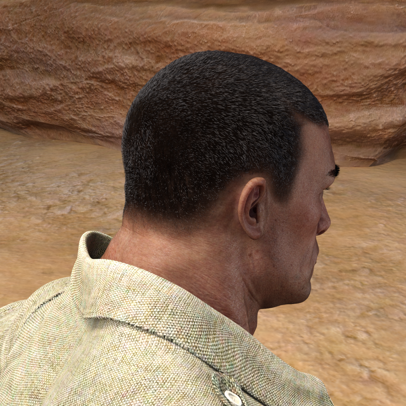 Short Cropped Hair for Genesis 3 Male and Females by N/A