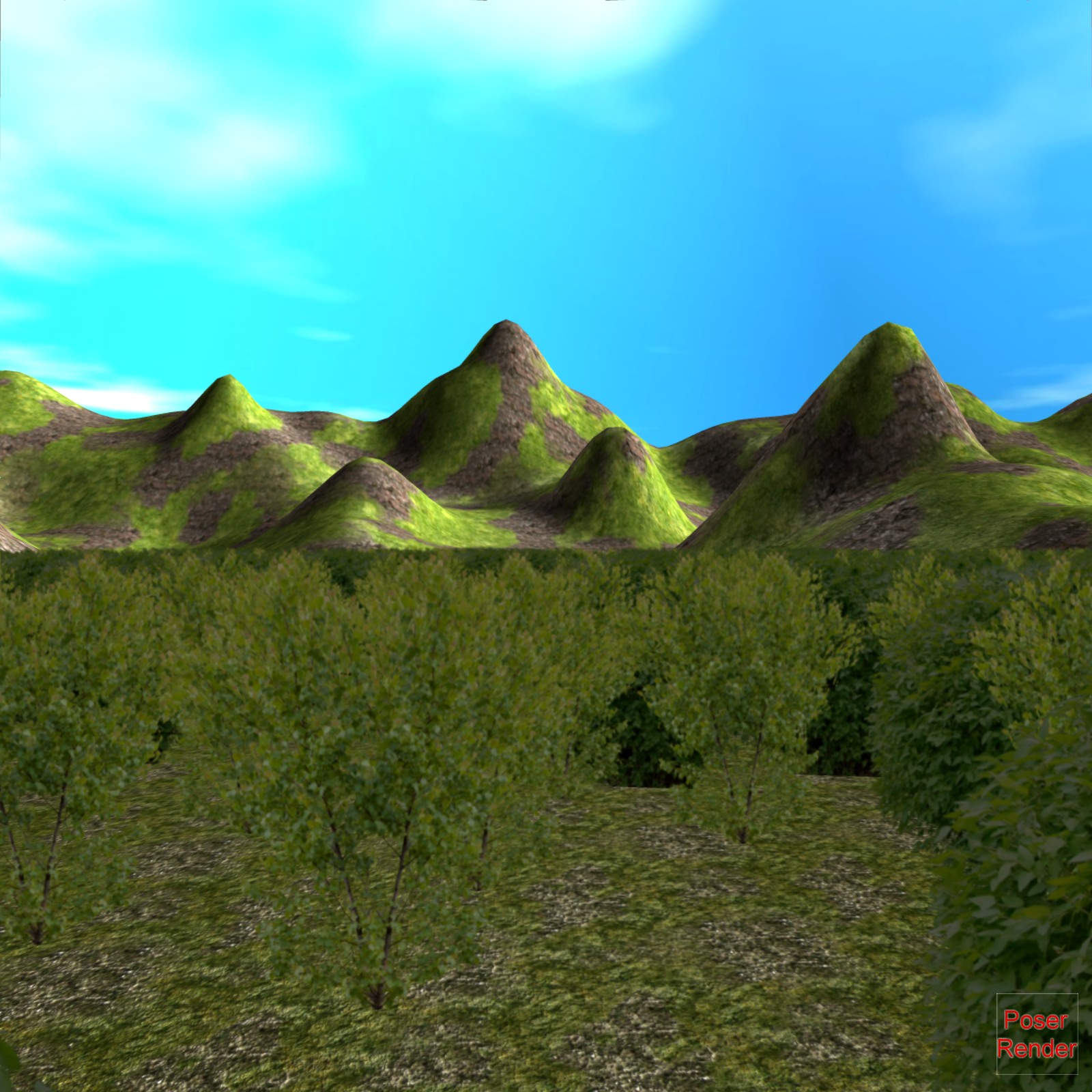 EcoMaster Terrain Poser by N/A