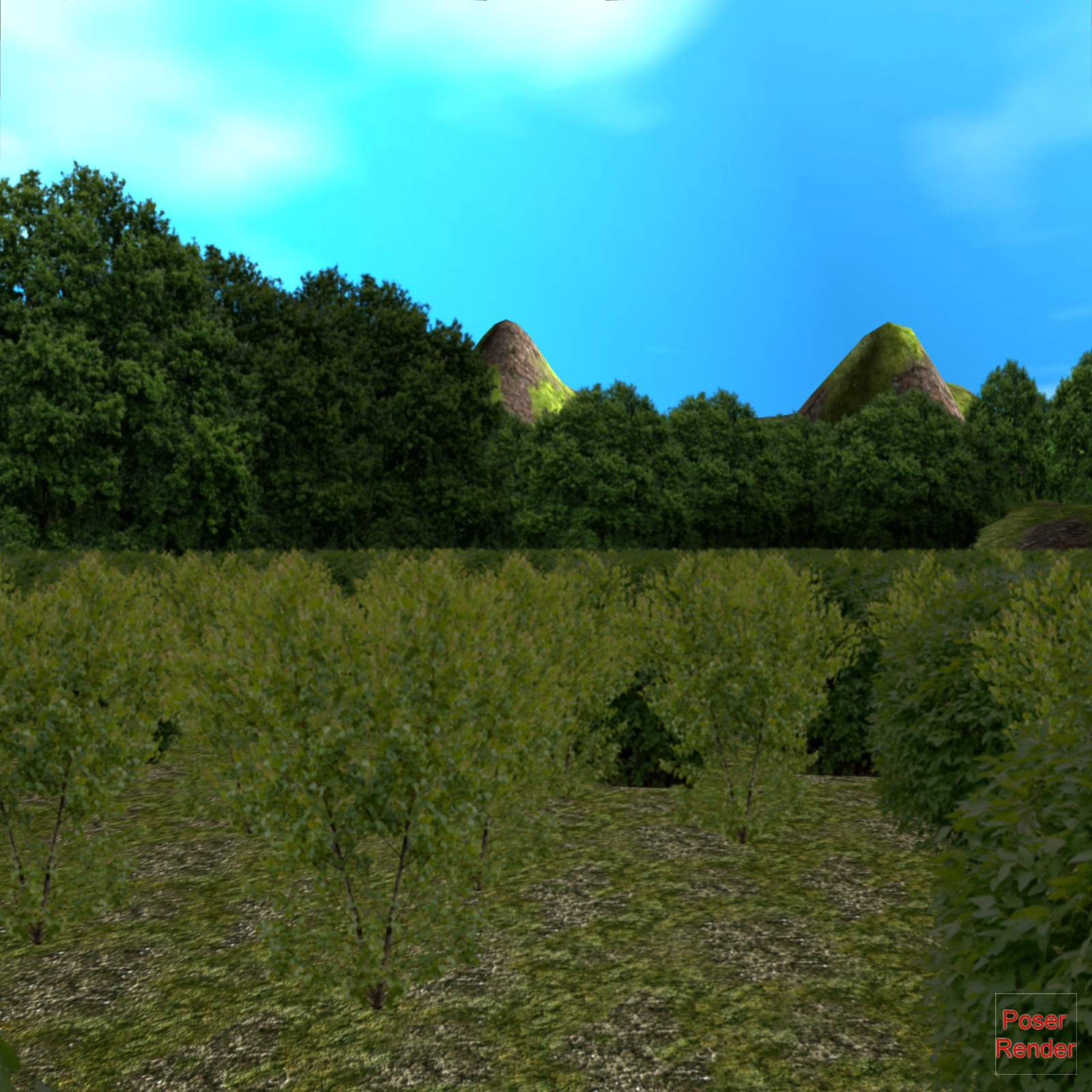 EcoMaster Terrain Poser by N/A