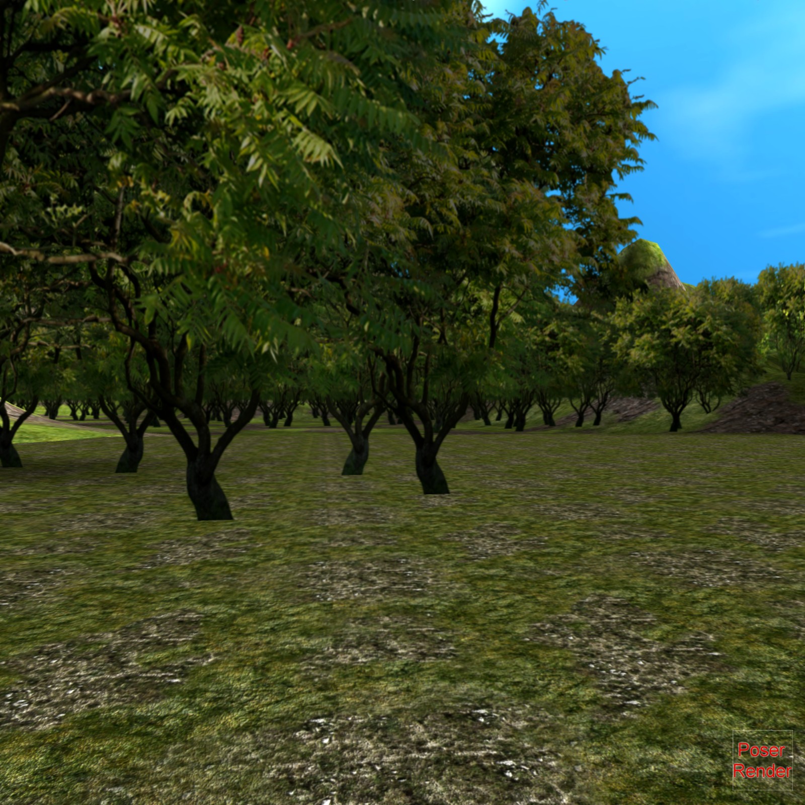 EcoMaster Terrain Poser by N/A