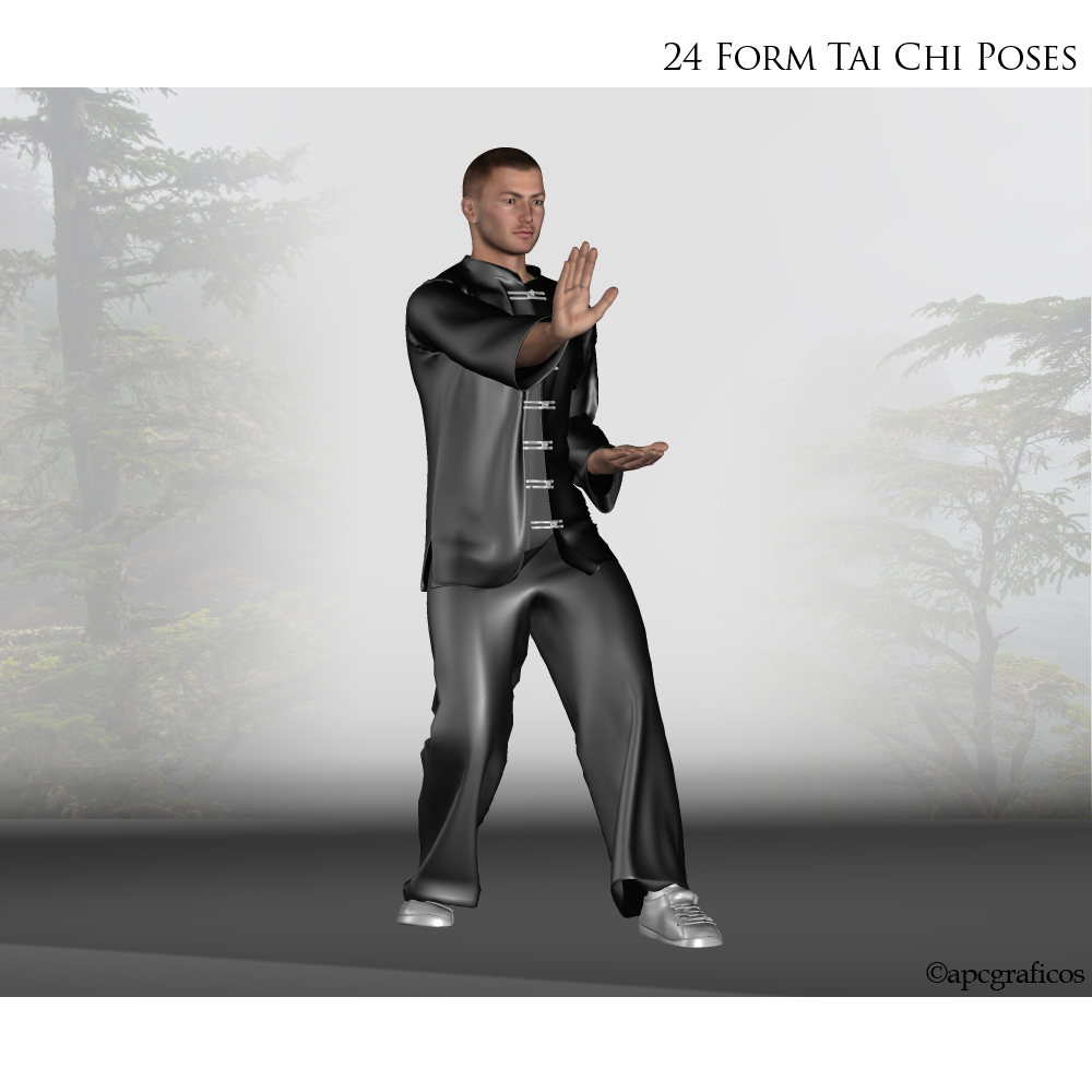 24 Form Tai Chi Poses by N/A
