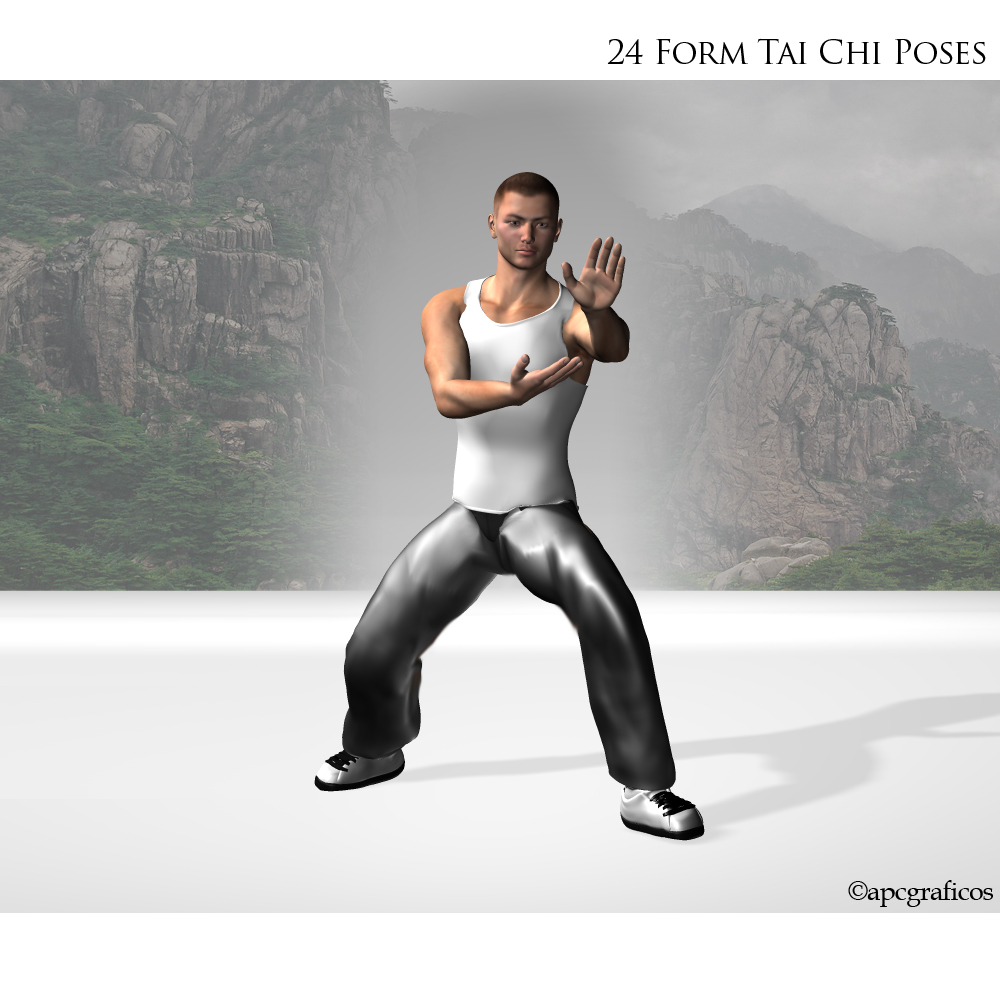 24 Form Tai Chi Poses by N/A