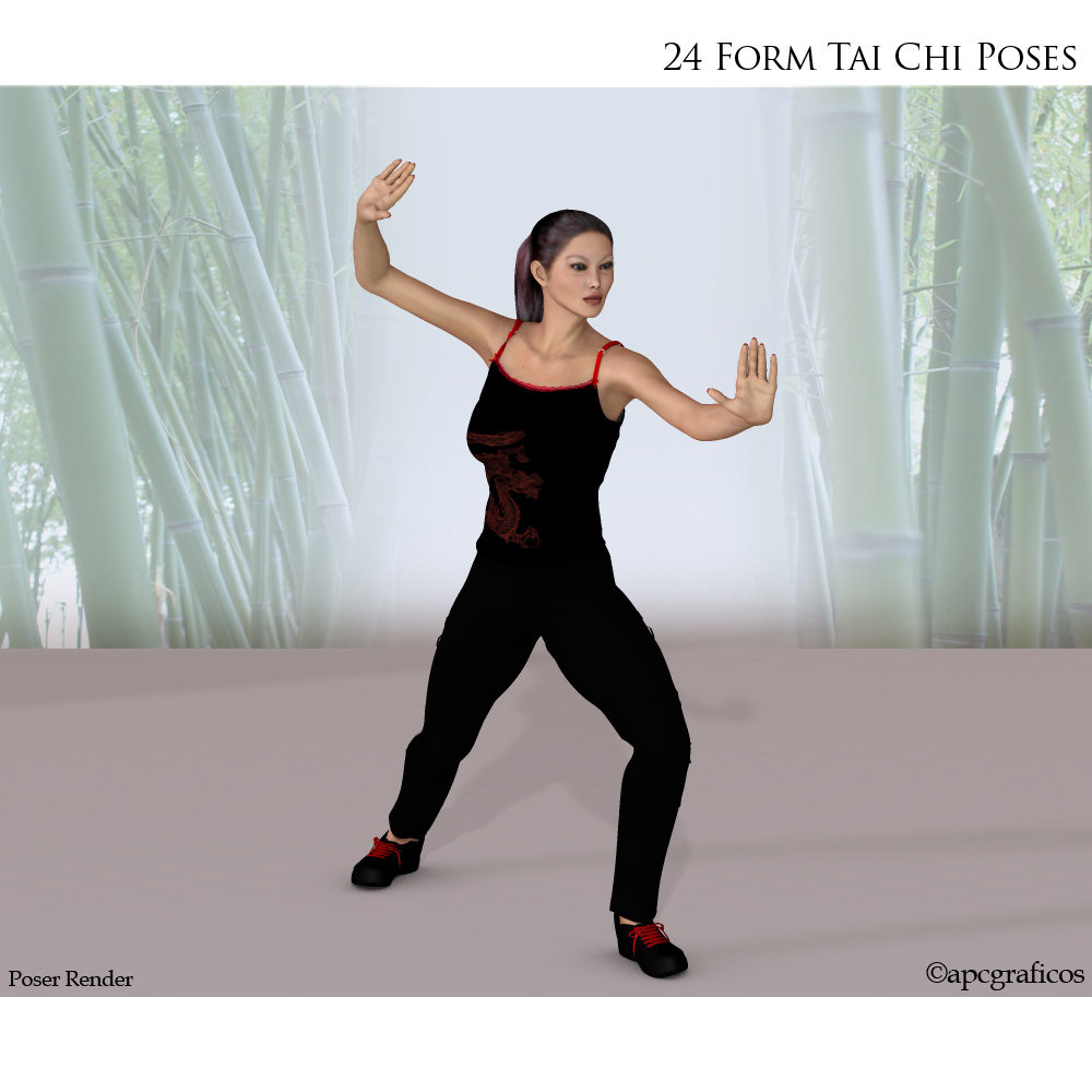 24 Form Tai Chi Poses by N/A
