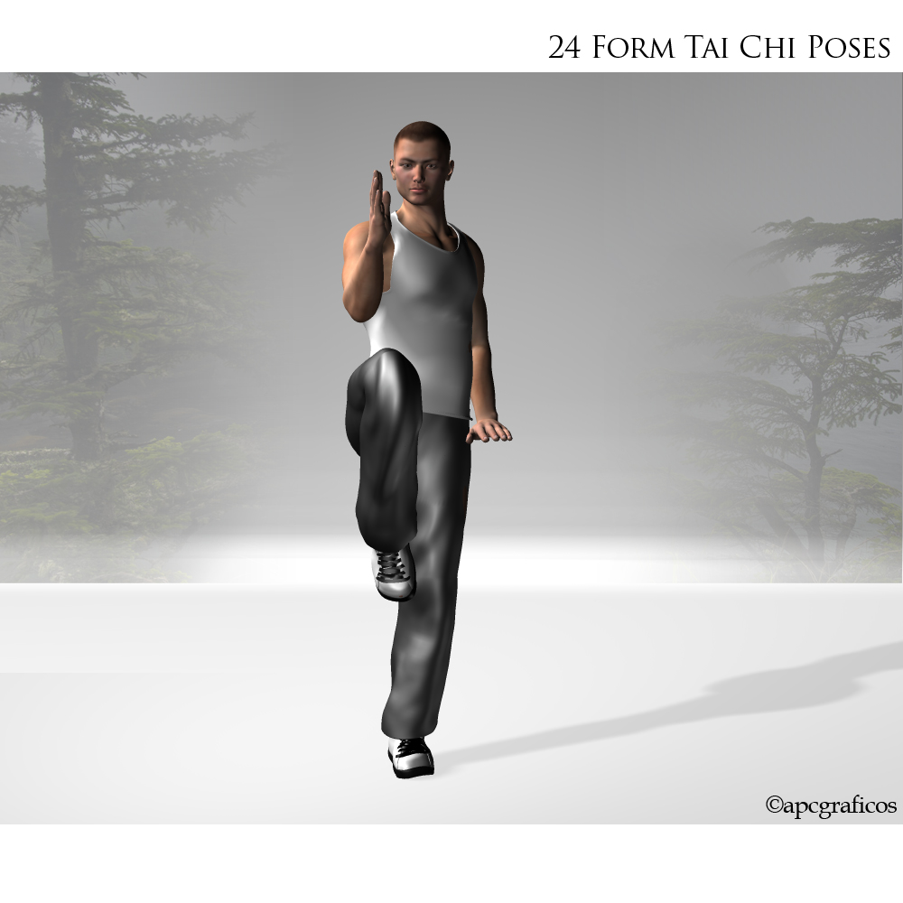 24 Form Tai Chi Poses by N/A