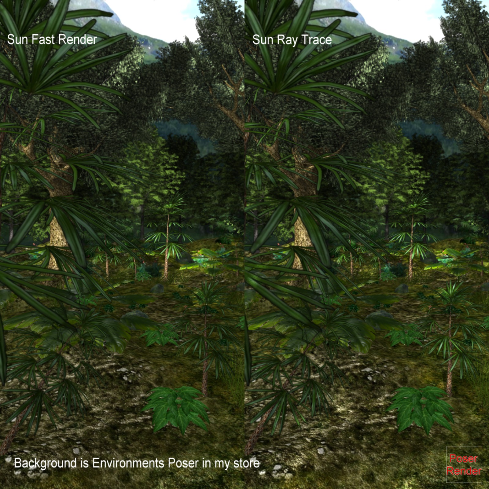 The Fantastic Forest Poser by N/A